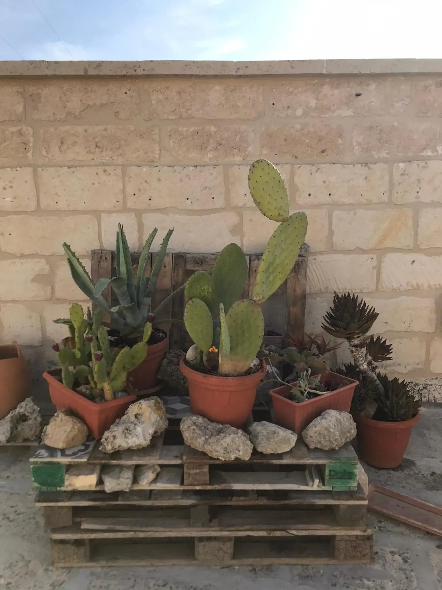 Junior Suite with Terrace in Antica Dimora dei Nonni Junior Suite with Terrace in Antica Dimora dei Nonni