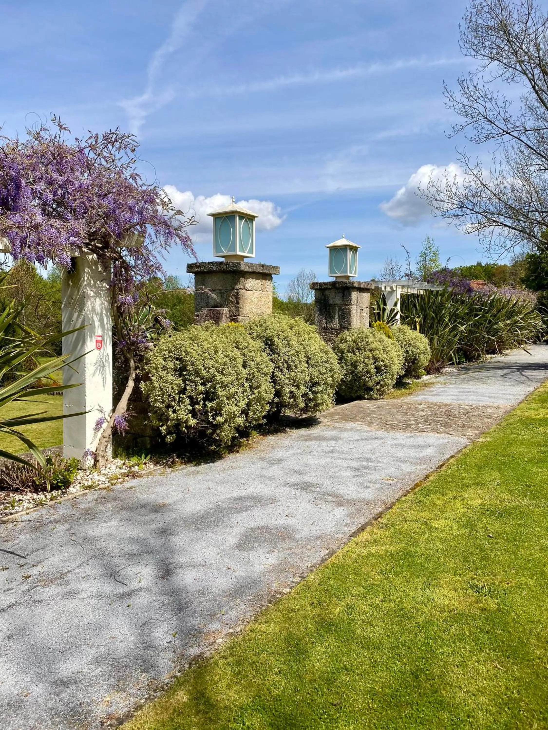 Natural landscape in Hotel de Charme Quinta do Pinheiro