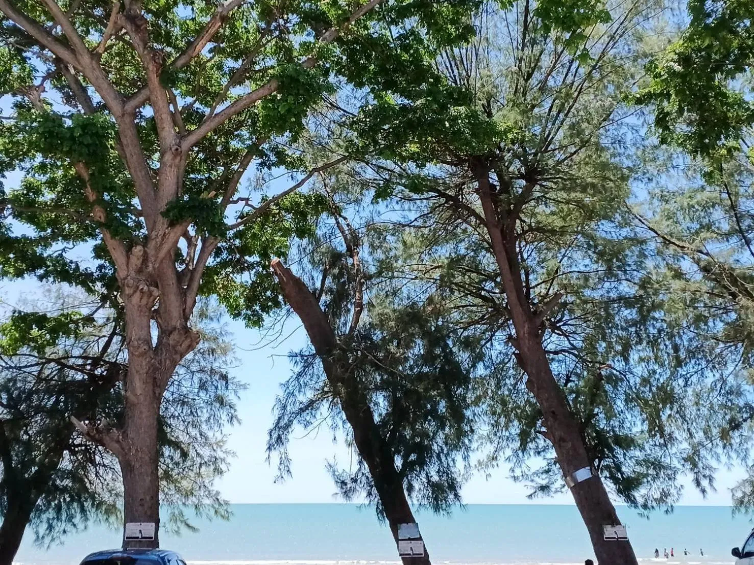 Beachfront Hotel Cha Am