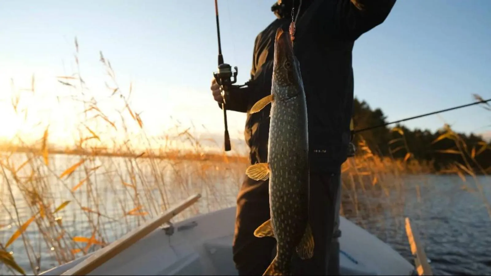 Fishing in Punkaharju Resort