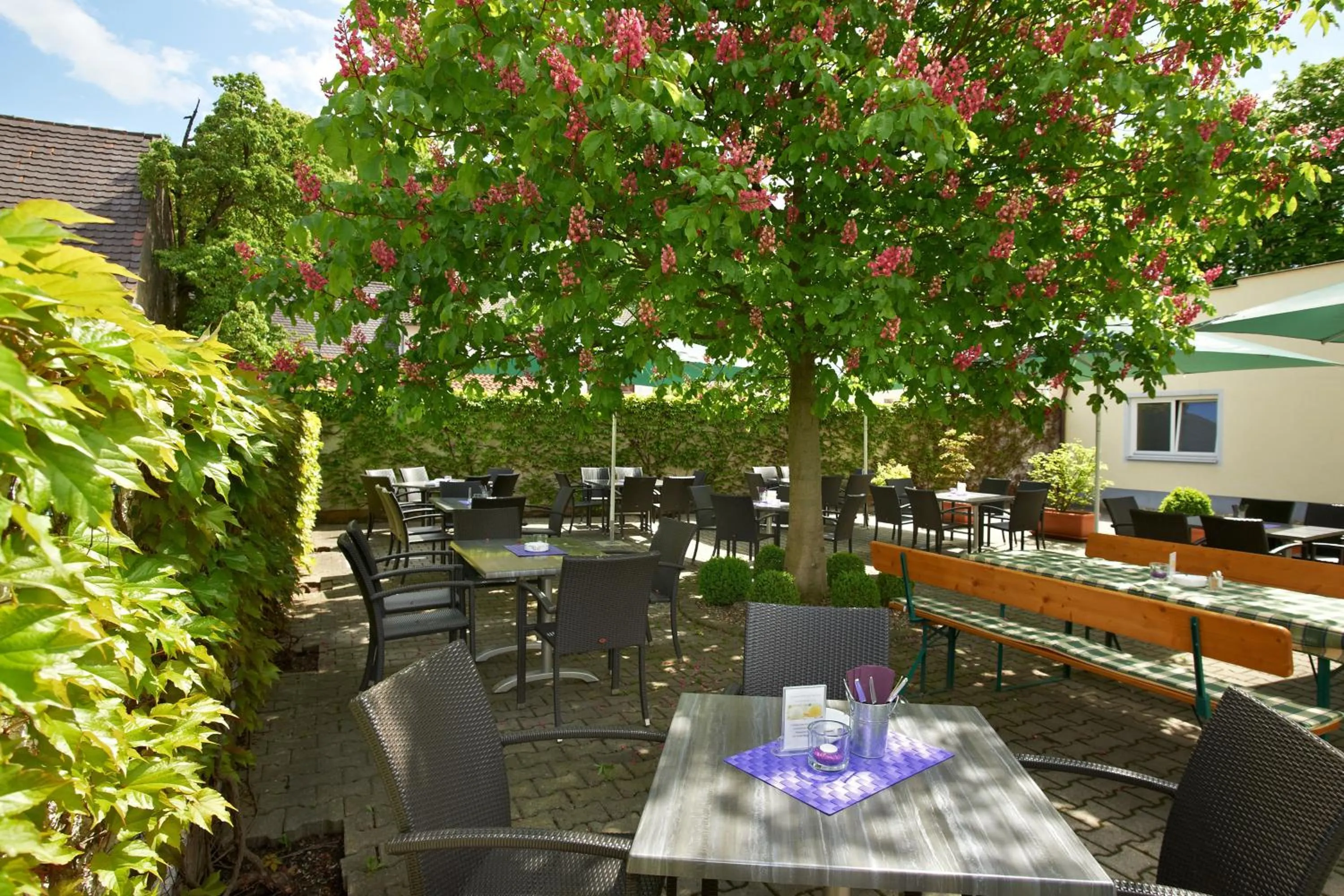 Patio in Gasthof Gigl