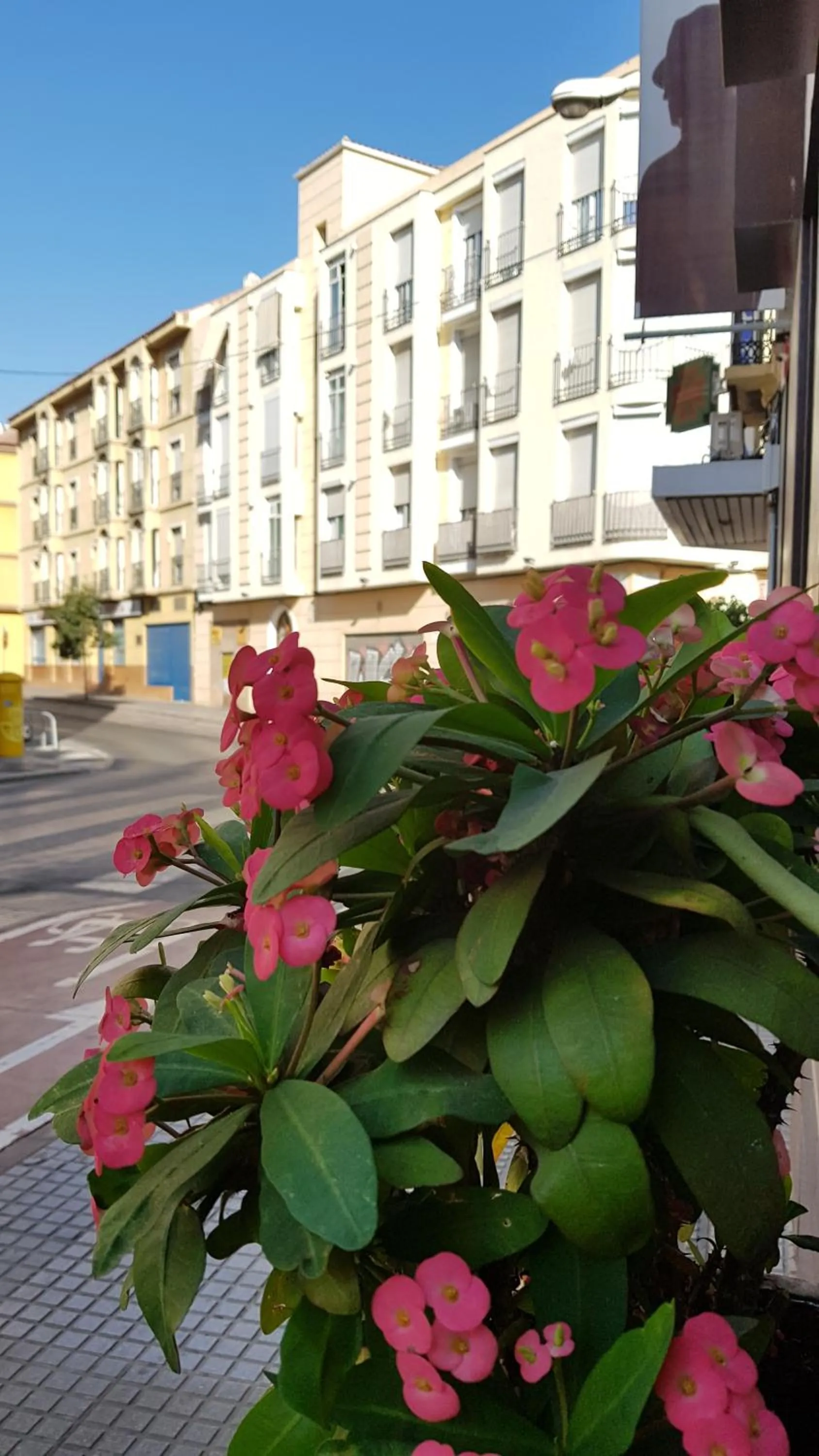 Neighbourhood in ELENA Flat Malaga Center