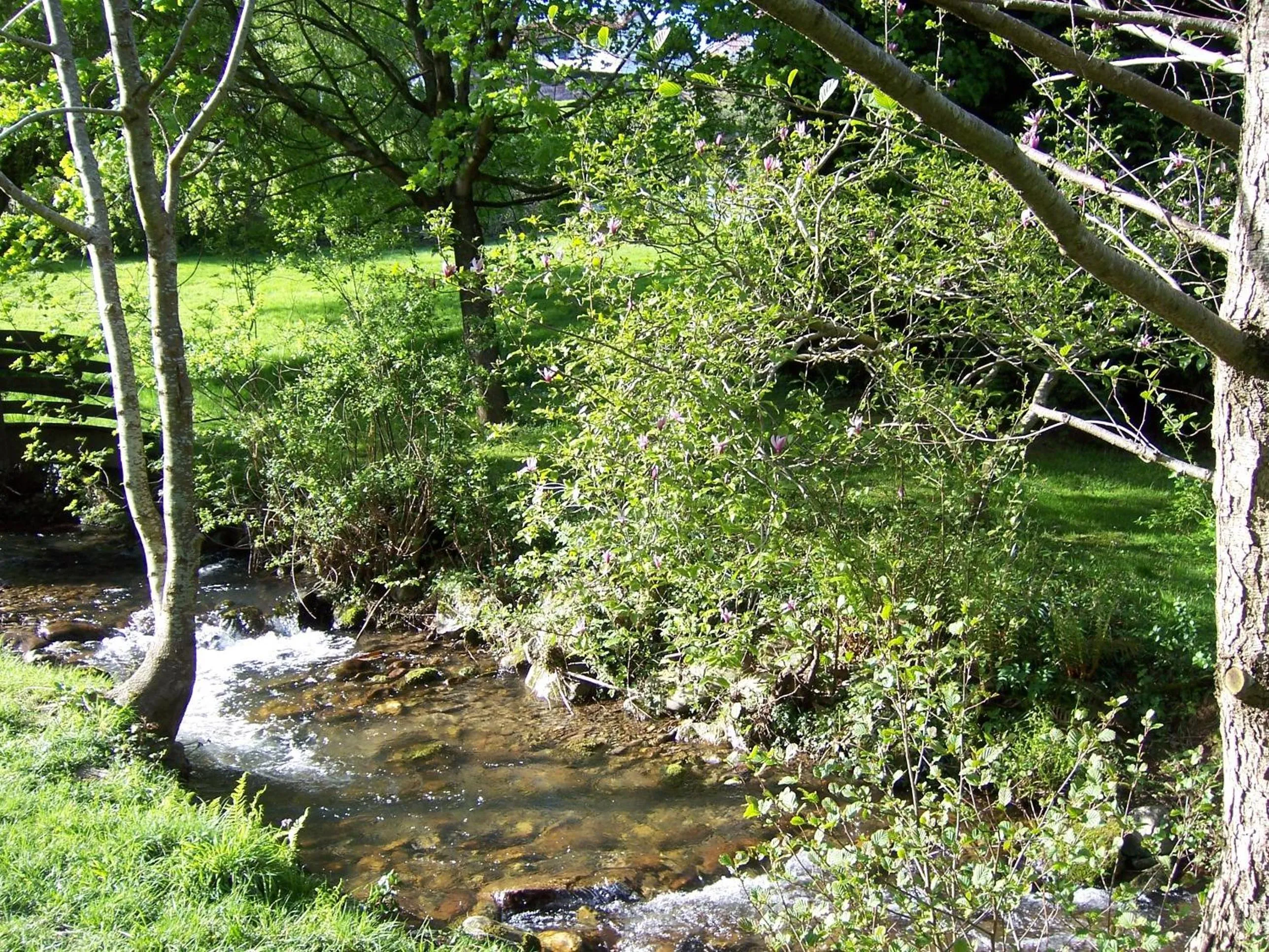 Area and facilities in Manexenea