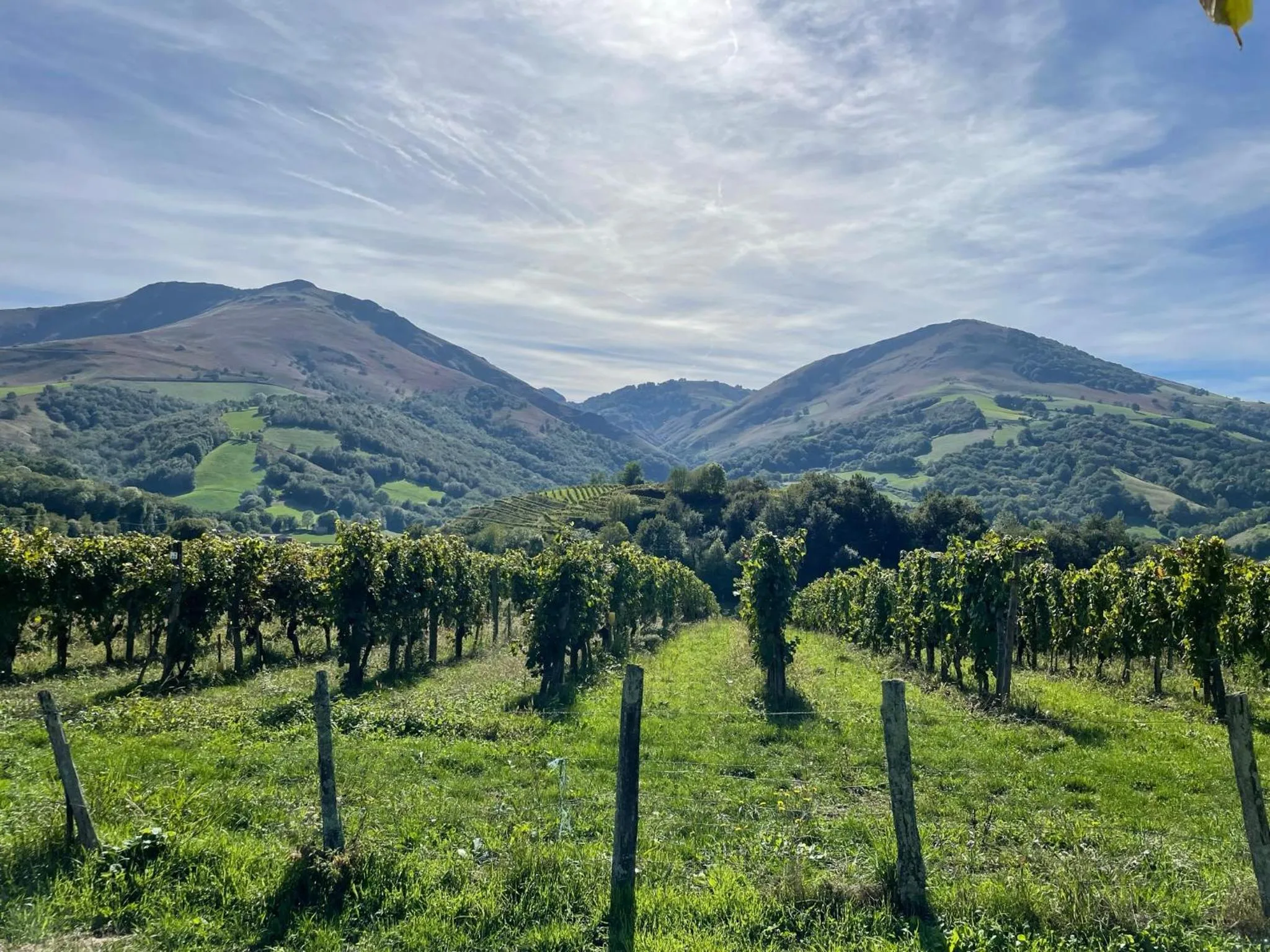 Nearby landmark in Manexenea