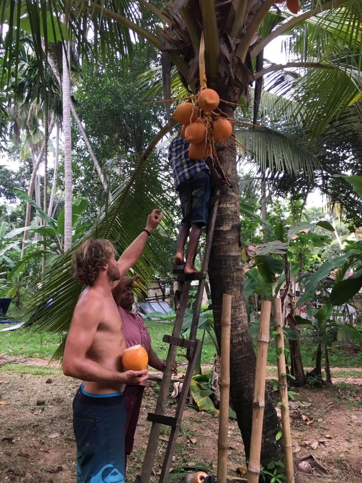 Activities in Airport Pearl Garden Transit Hotel