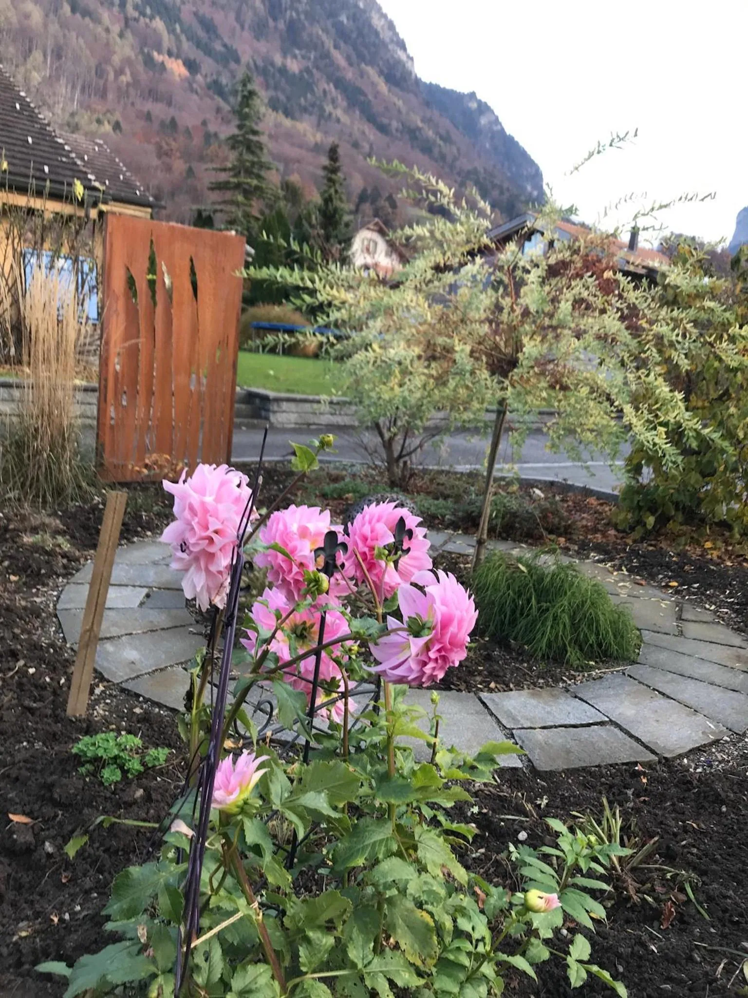 Garden in Apartment Beck