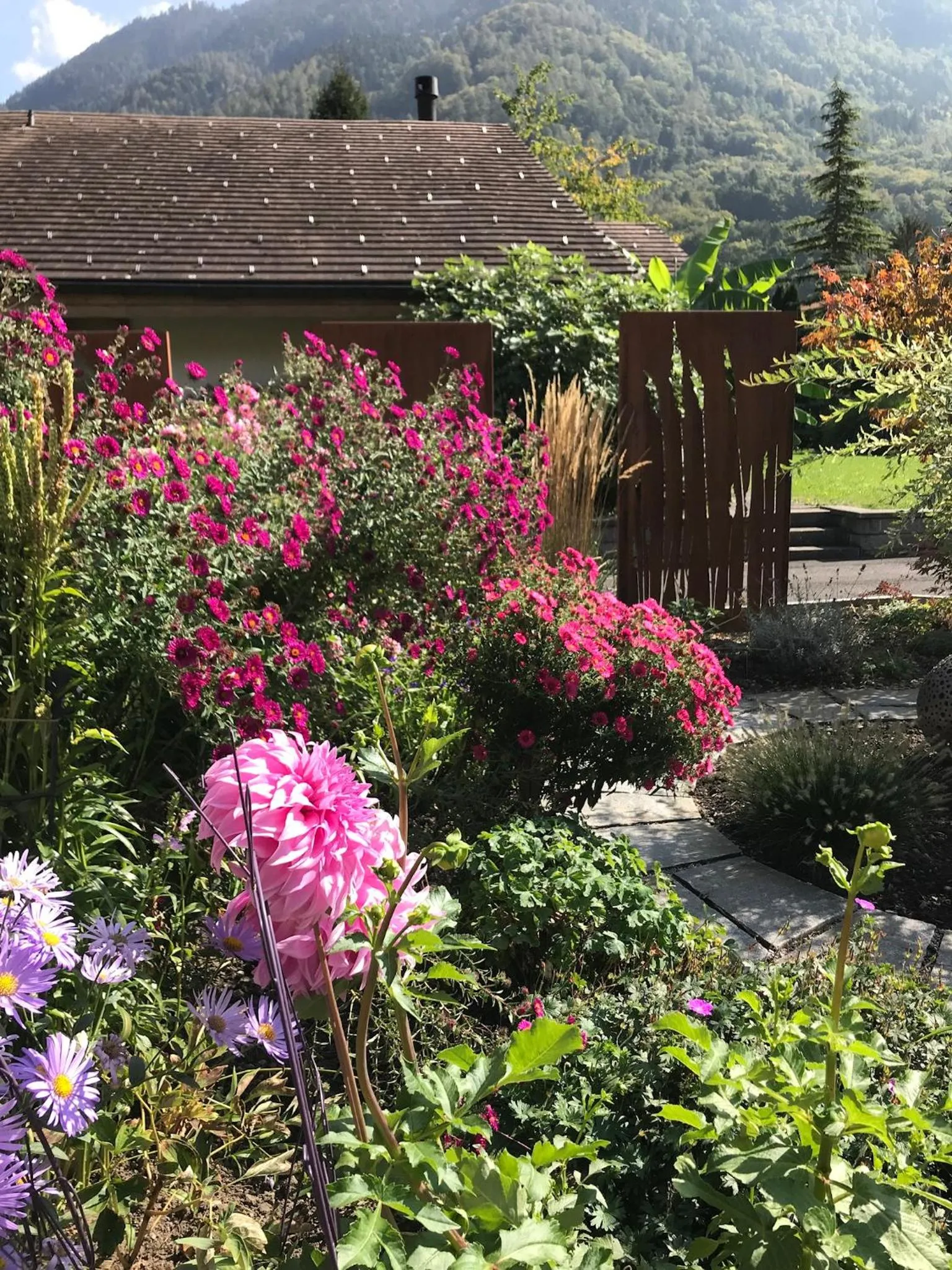 Garden in Apartment Beck