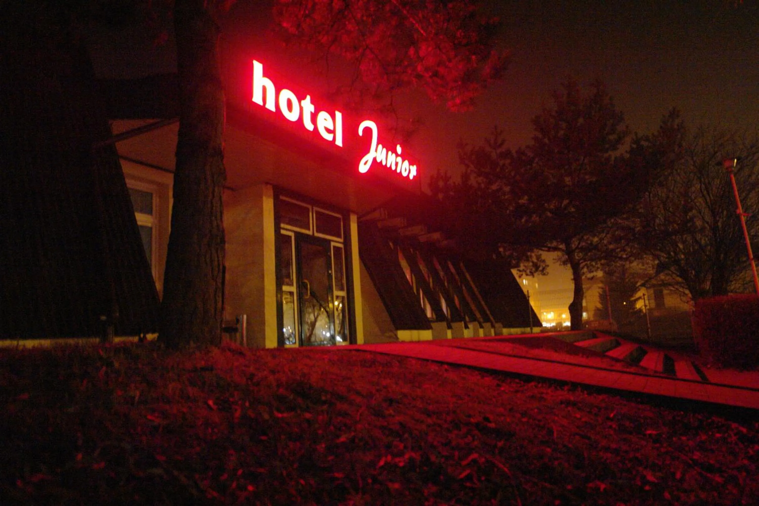 Restaurant/places to eat in Hotel Junior