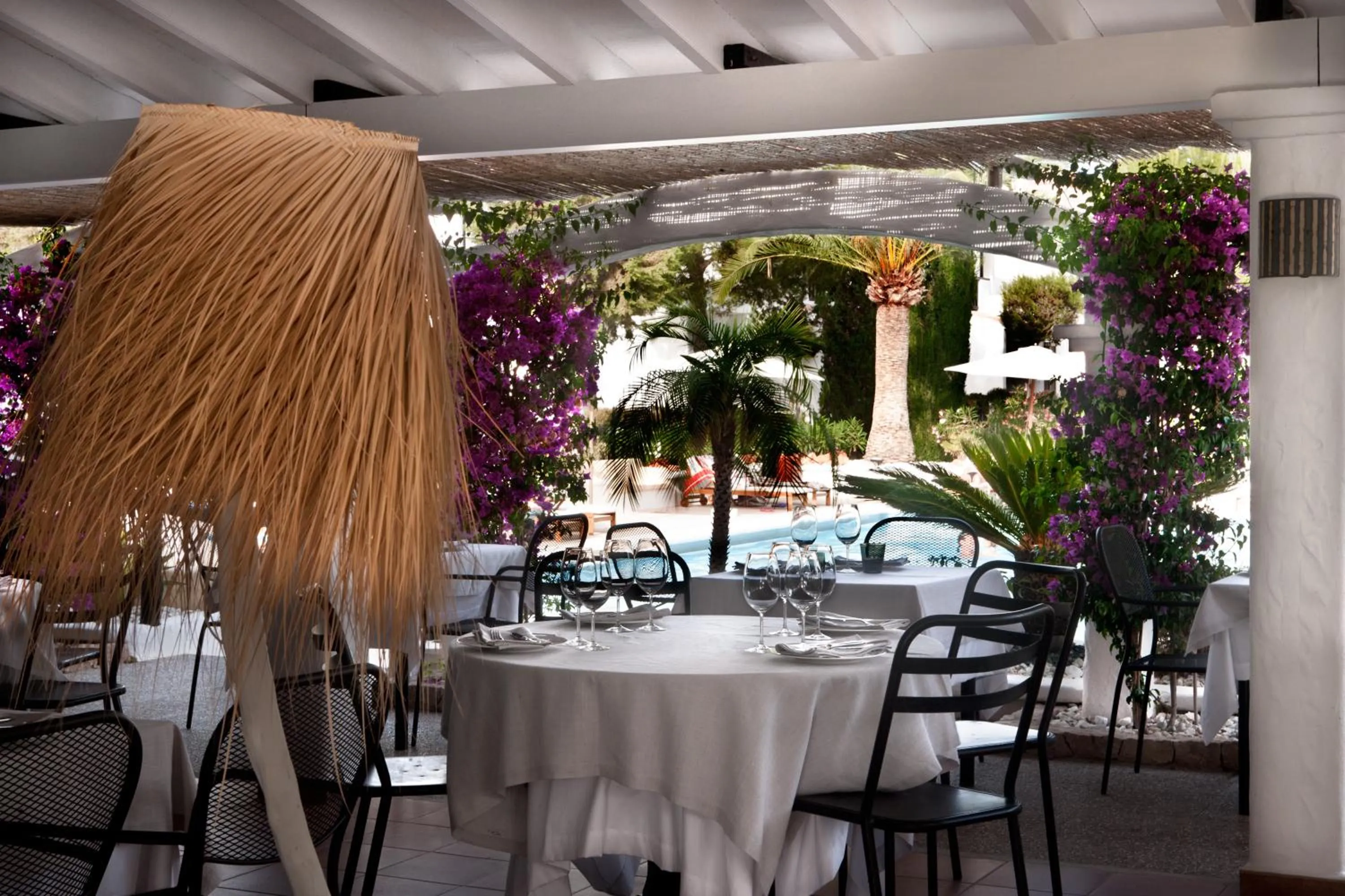 Restaurant/places to eat in Paraíso de los Pinos