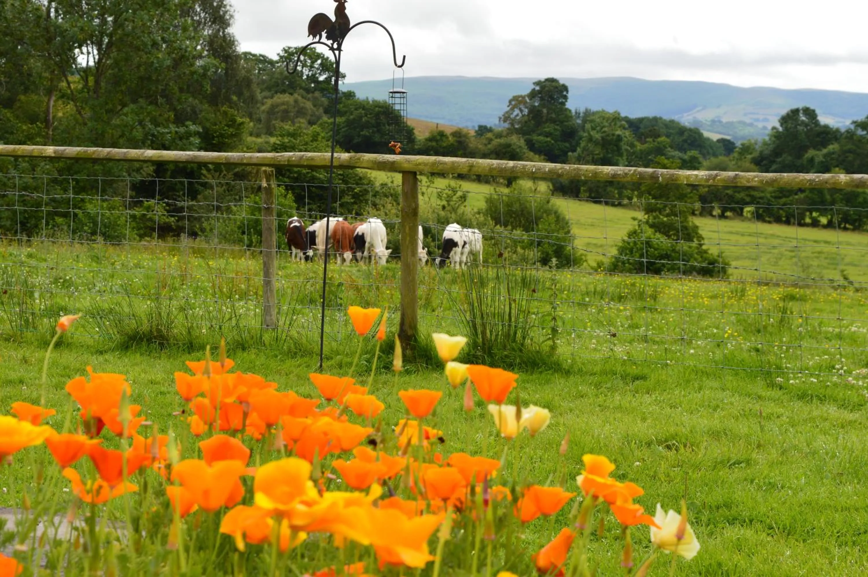 Smithfield Farm Bed & Breakfast