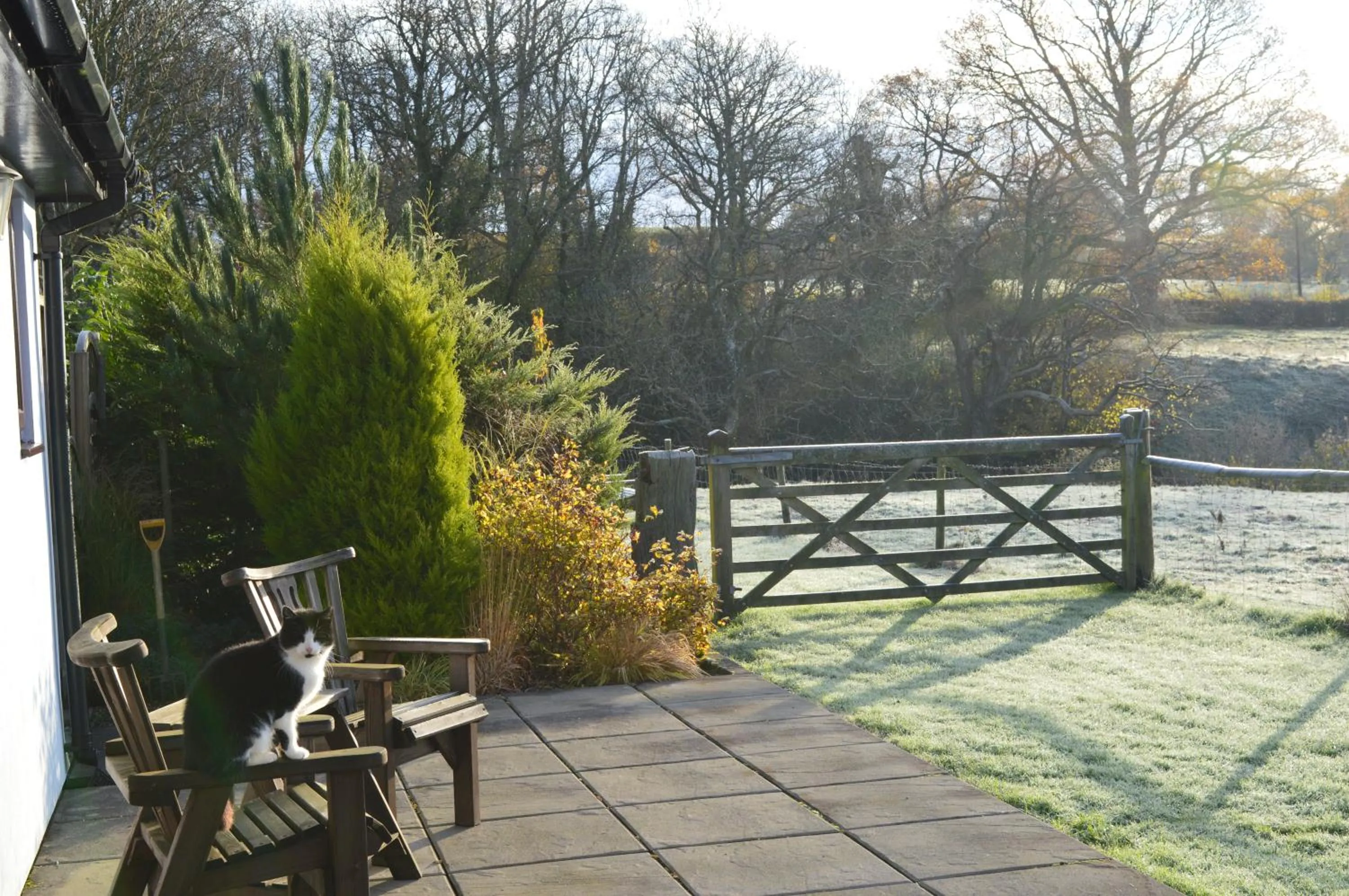 Smithfield Farm Bed & Breakfast