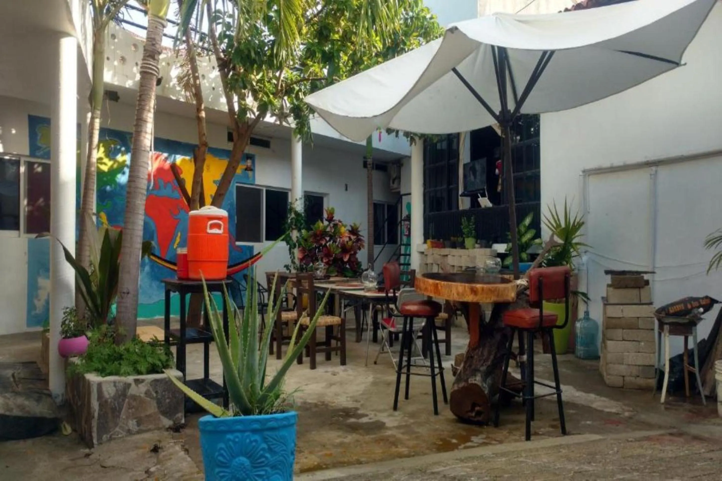 Area and facilities in OYO Hotel Cannacare