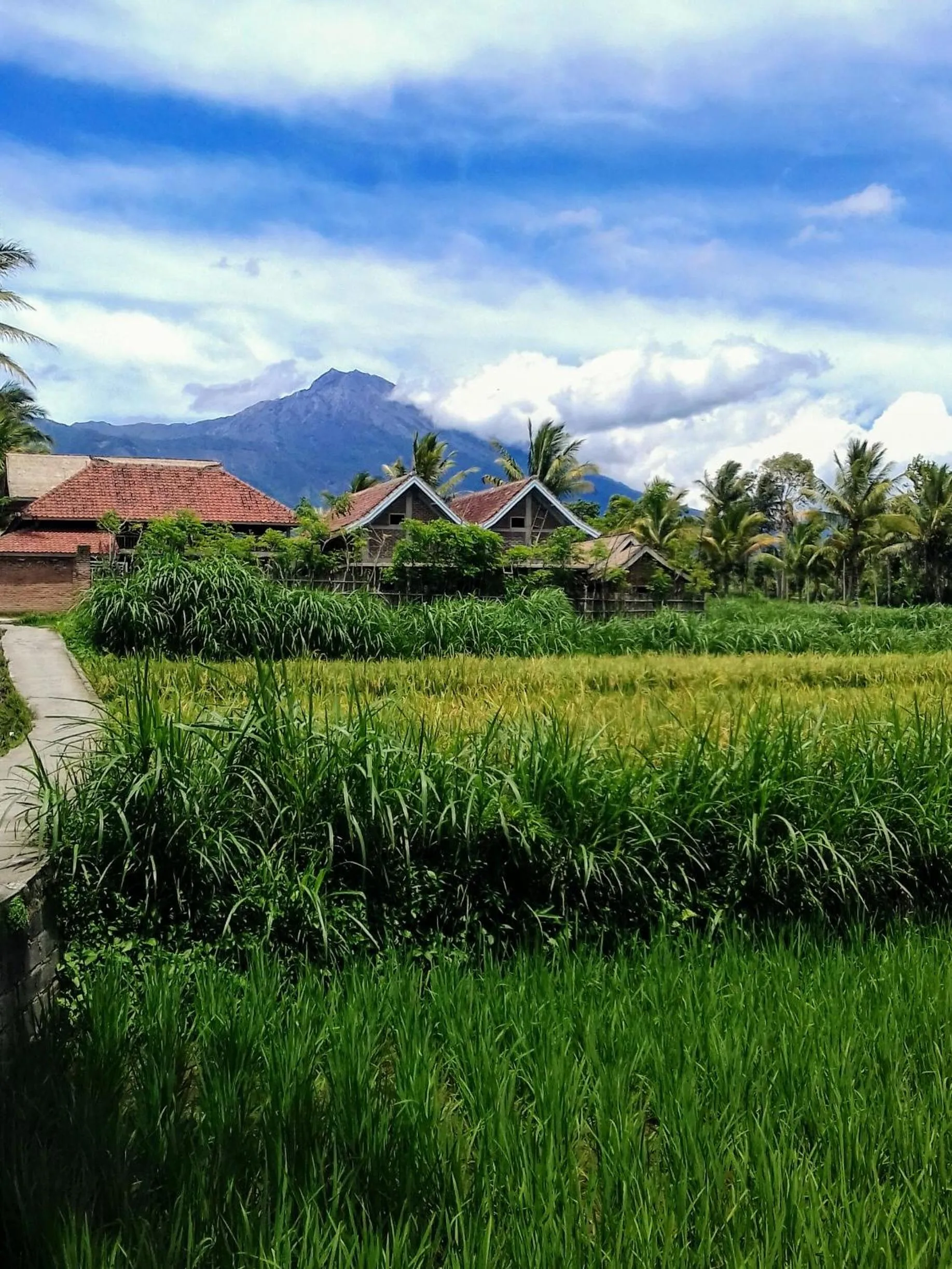 Facade/entrance in Tetebatu Flush Harmony