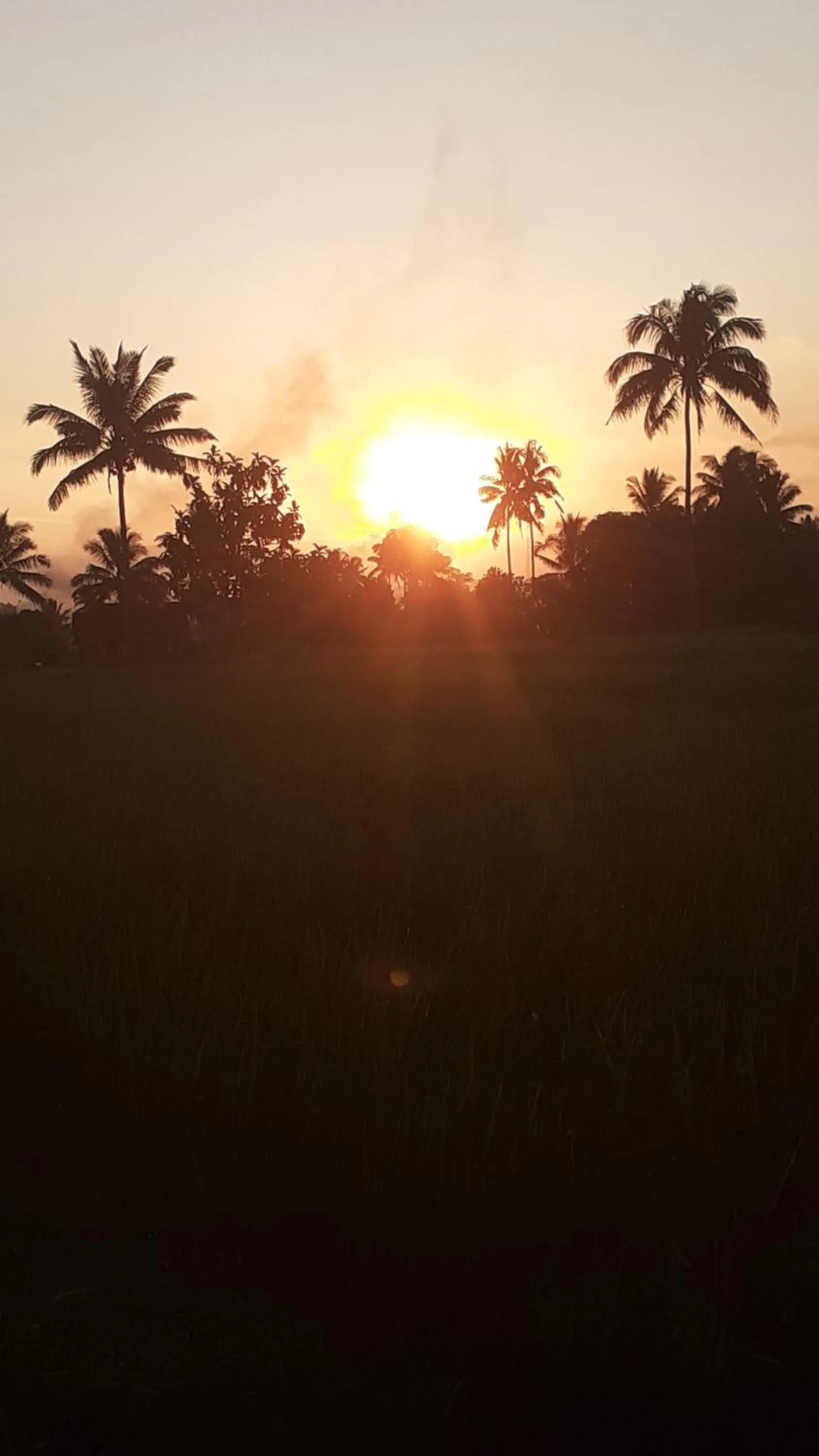 Tetebatu Flush Harmony