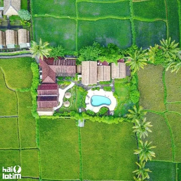 Tetebatu Flush Harmony