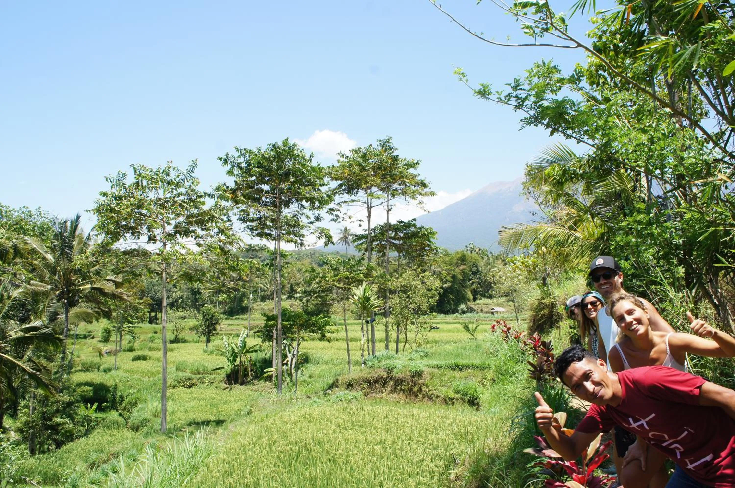 Tetebatu Flush Harmony