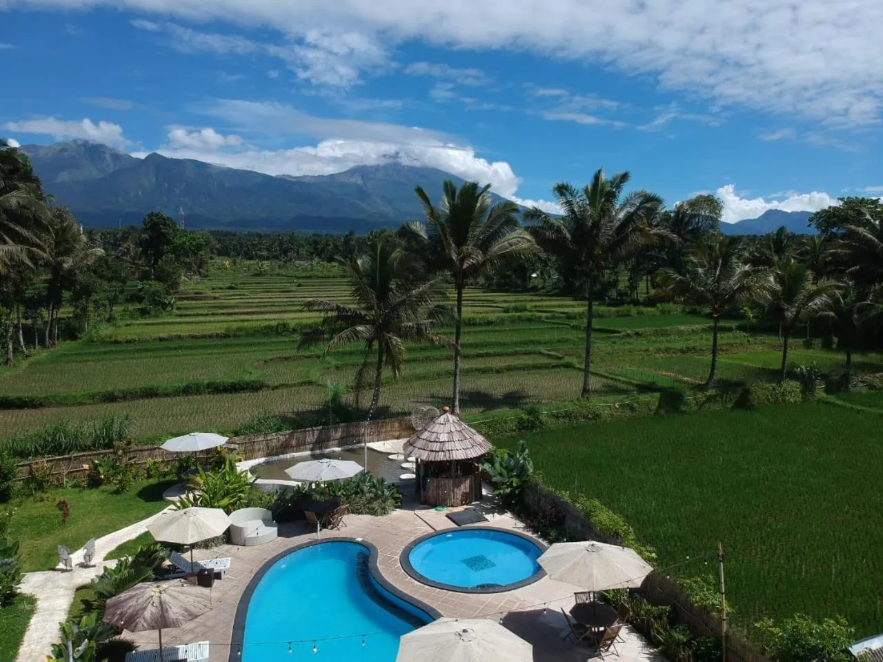 Tetebatu Flush Harmony