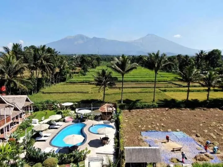 Tetebatu Flush Harmony