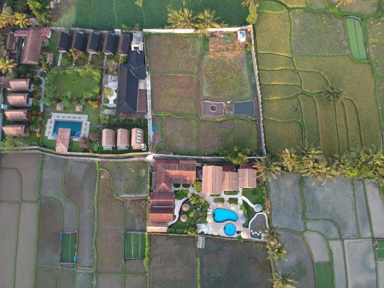 Tetebatu Flush Harmony