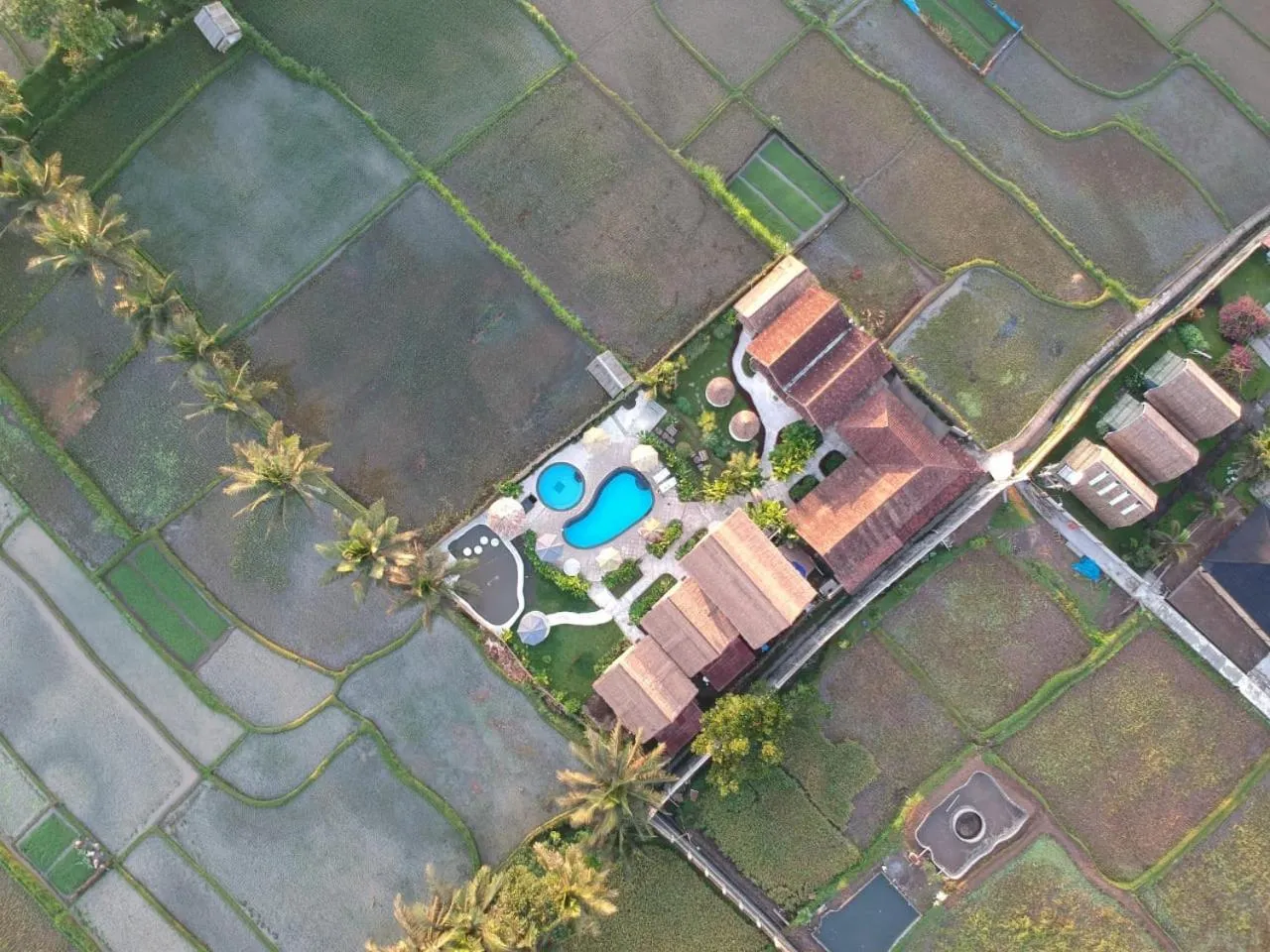 Tetebatu Flush Harmony