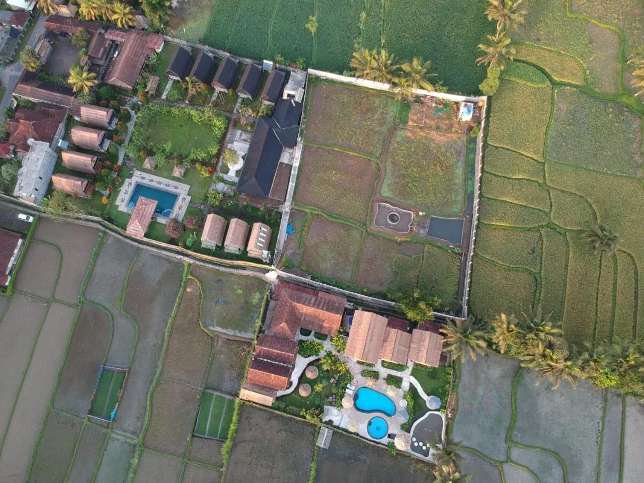 Tetebatu Flush Harmony