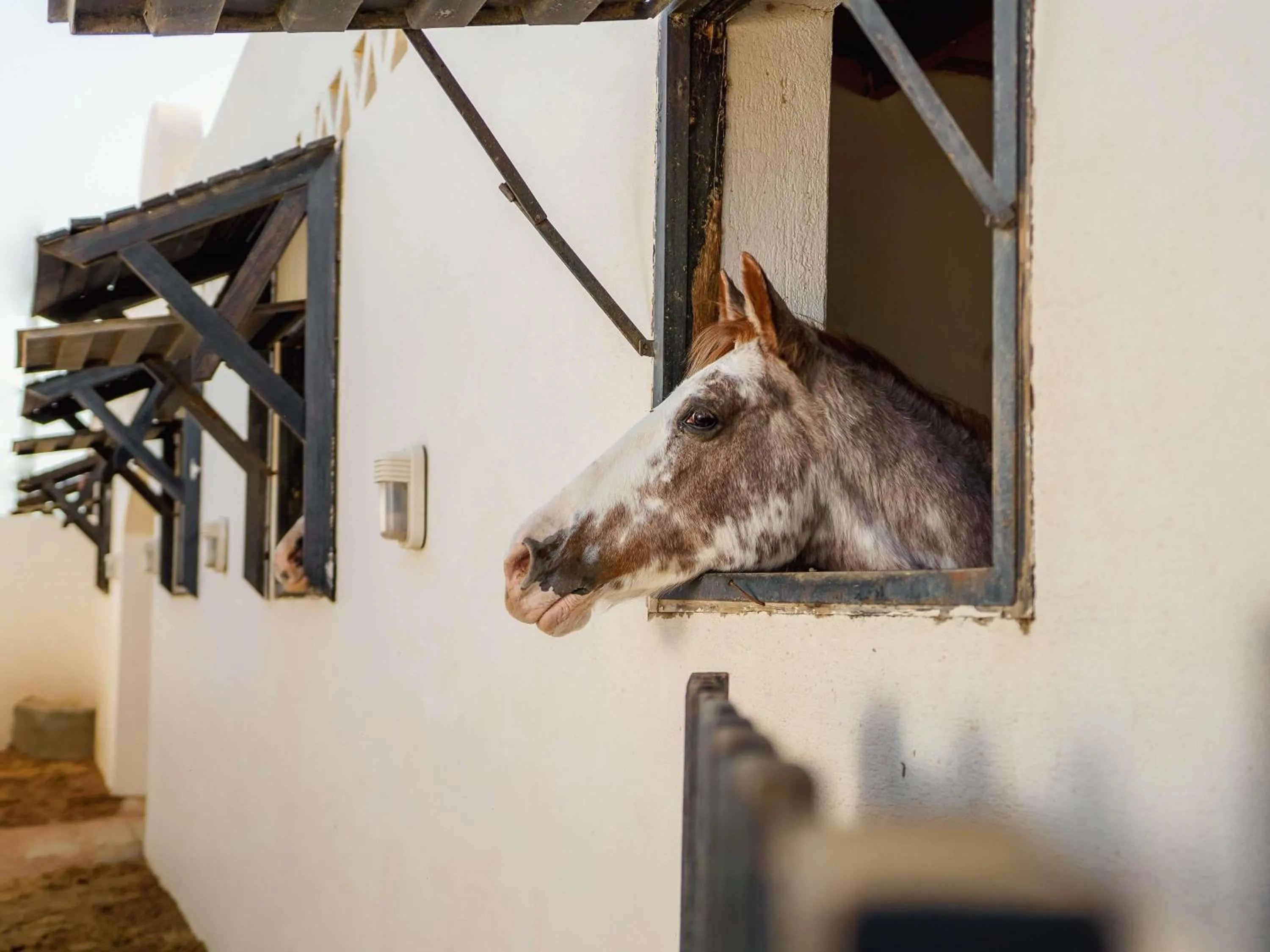 Bedroom in Movenpick Resort Sharm El Sheikh