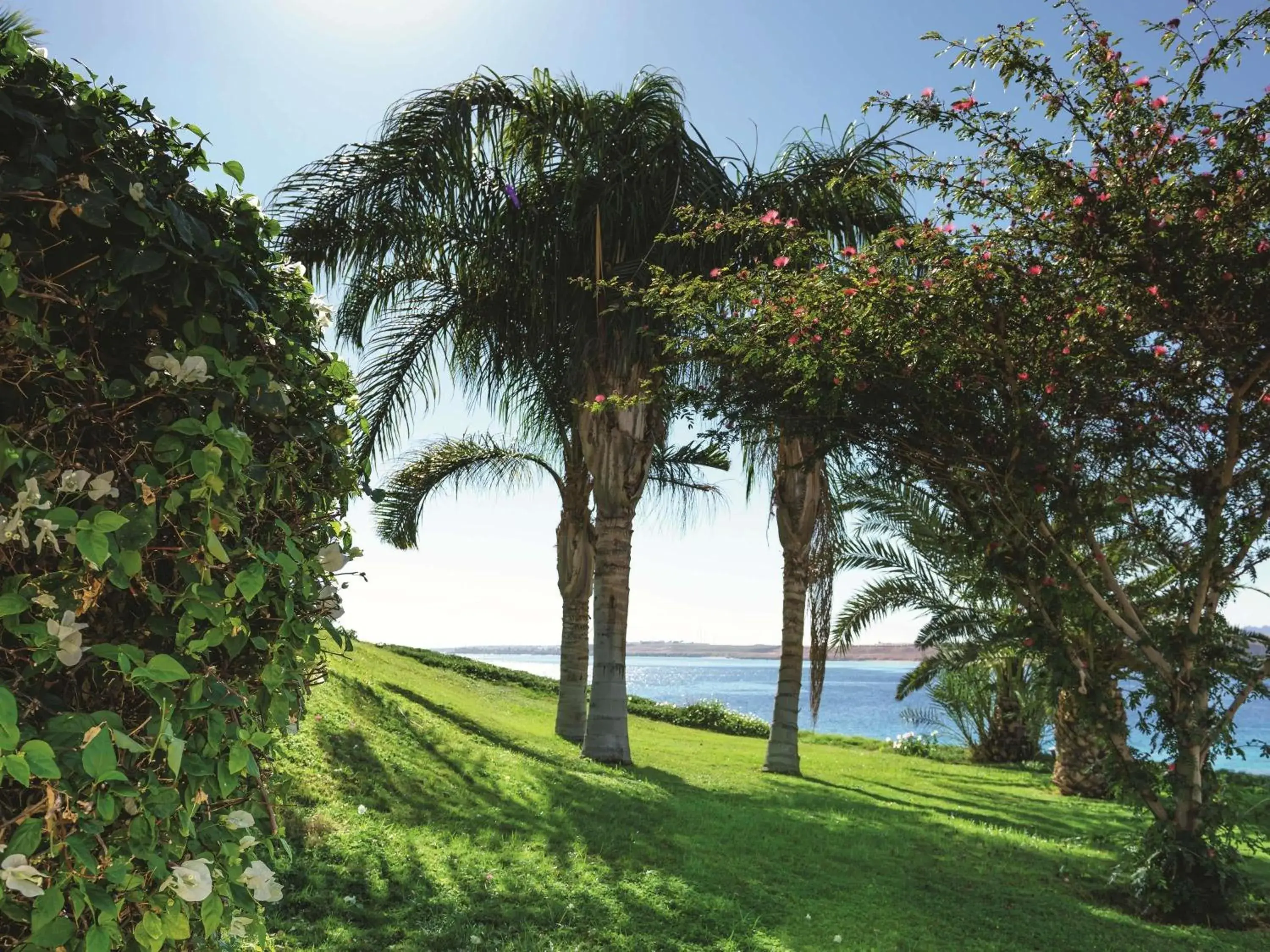 Bedroom in Movenpick Resort Sharm El Sheikh Bedroom in Movenpick Resort Sharm El Sheikh