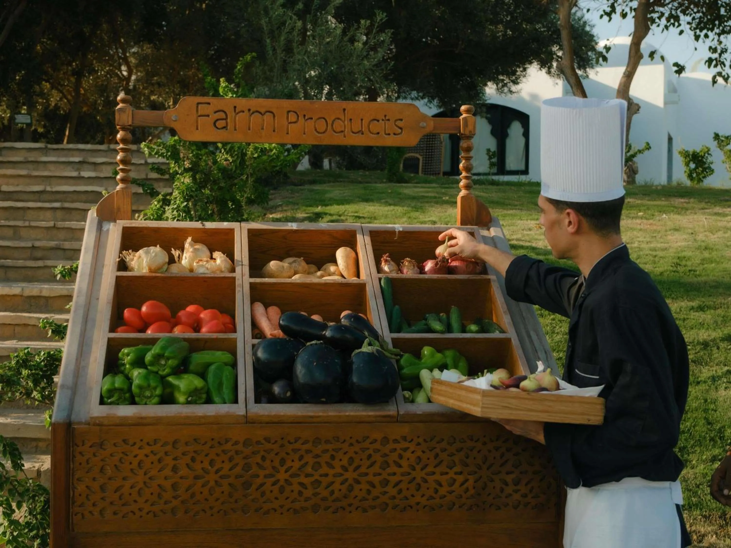 Restaurant/places to eat in Movenpick Resort Sharm El Sheikh