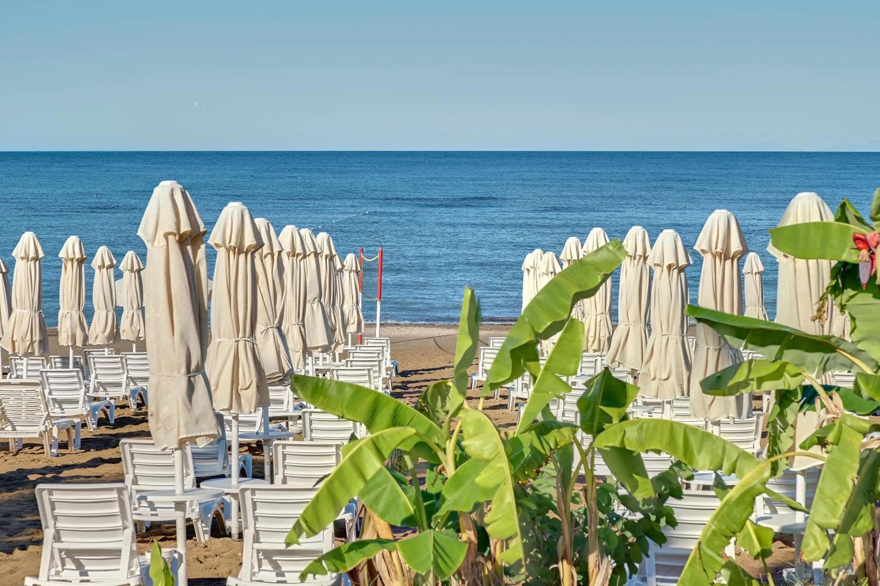 Garden in Seaden Corolla Hotel