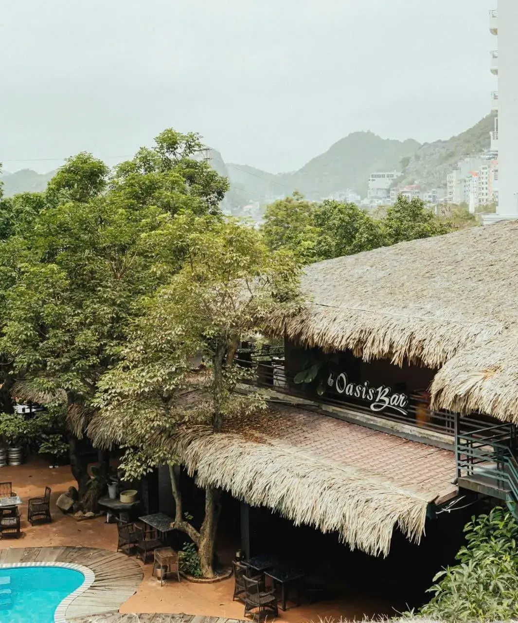 View (from property/room) in Catba Oasis Bungalows View (from property/room) in Catba Oasis Bungalows