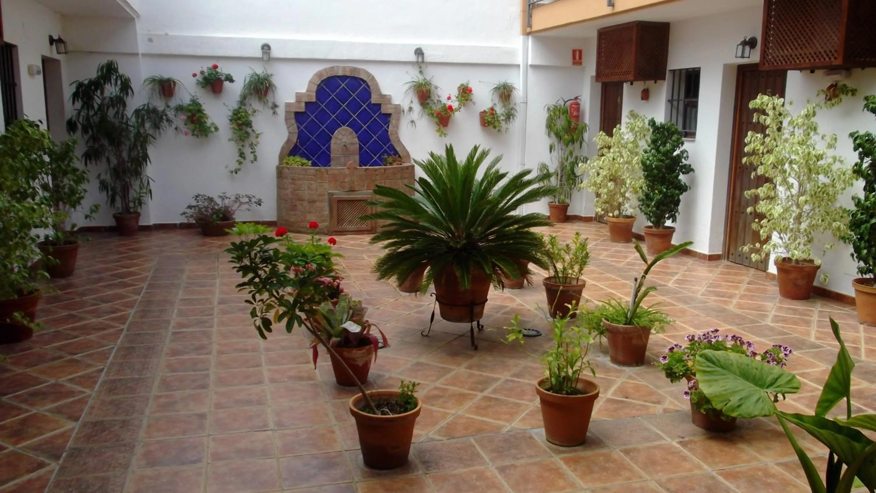 Balcony/Terrace in Hotel Posada Casas Viejas