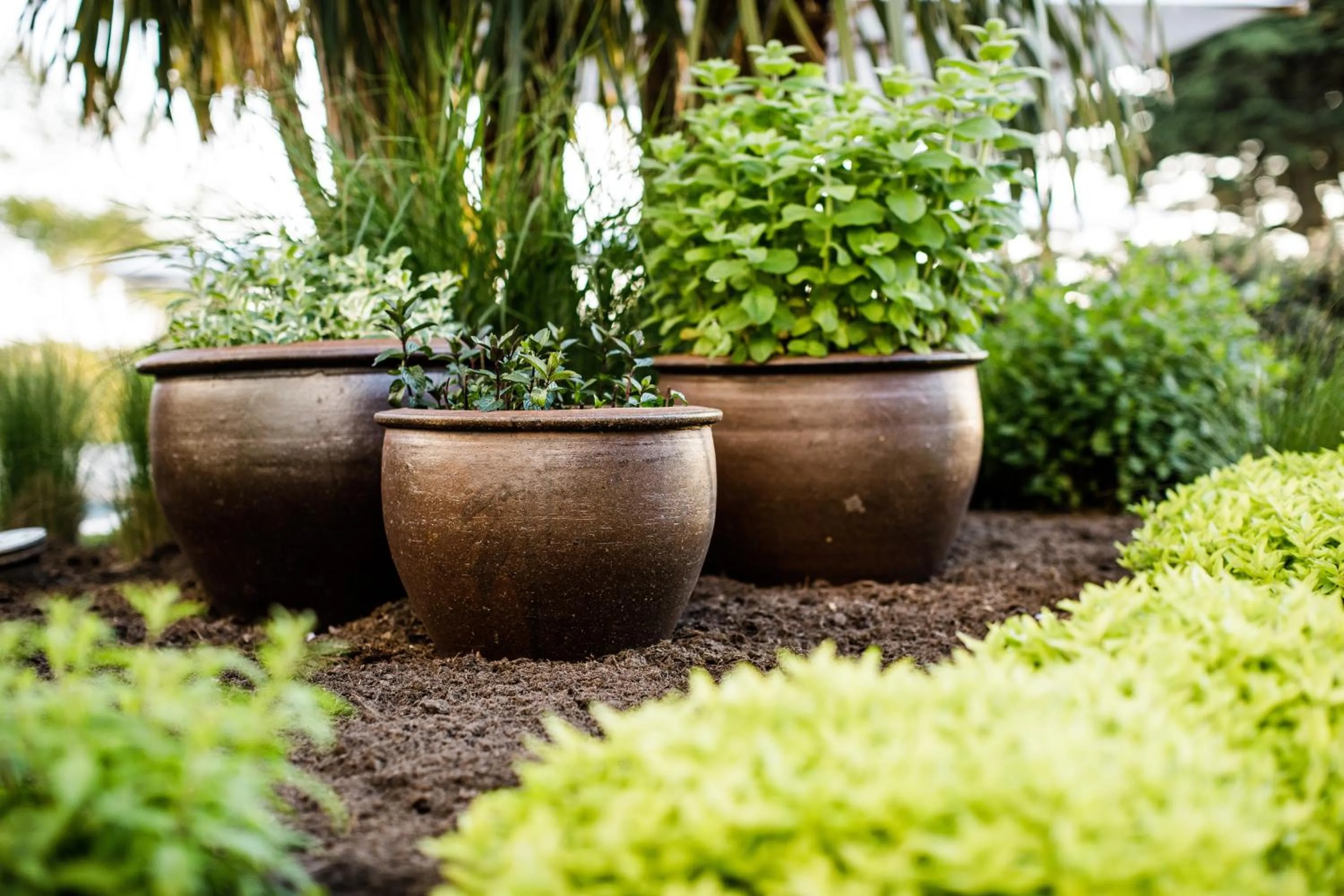 Patio in The Atlantic Hotel - Small Luxury Hotels of the World