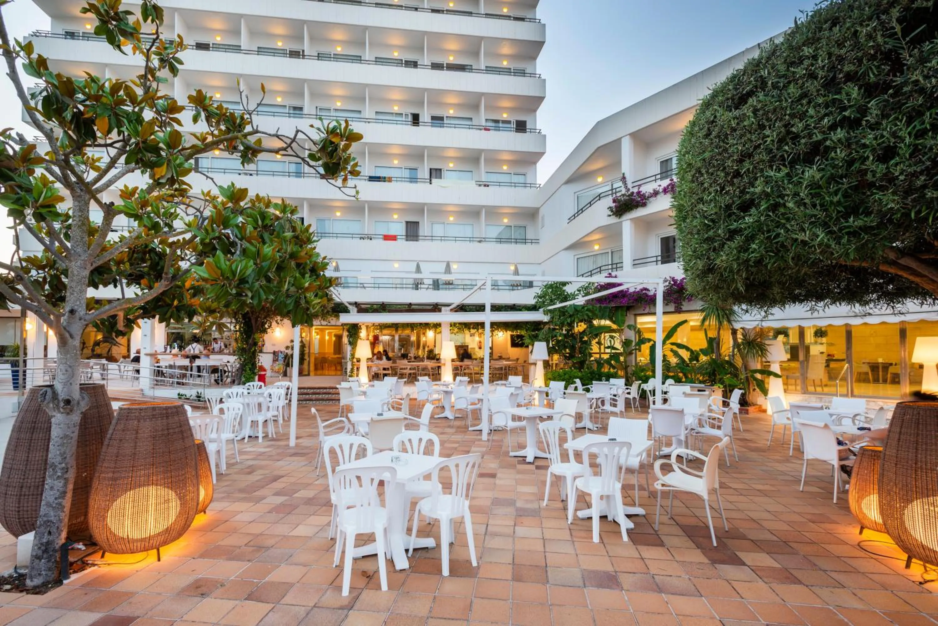 Evening entertainment in Hotel Morito