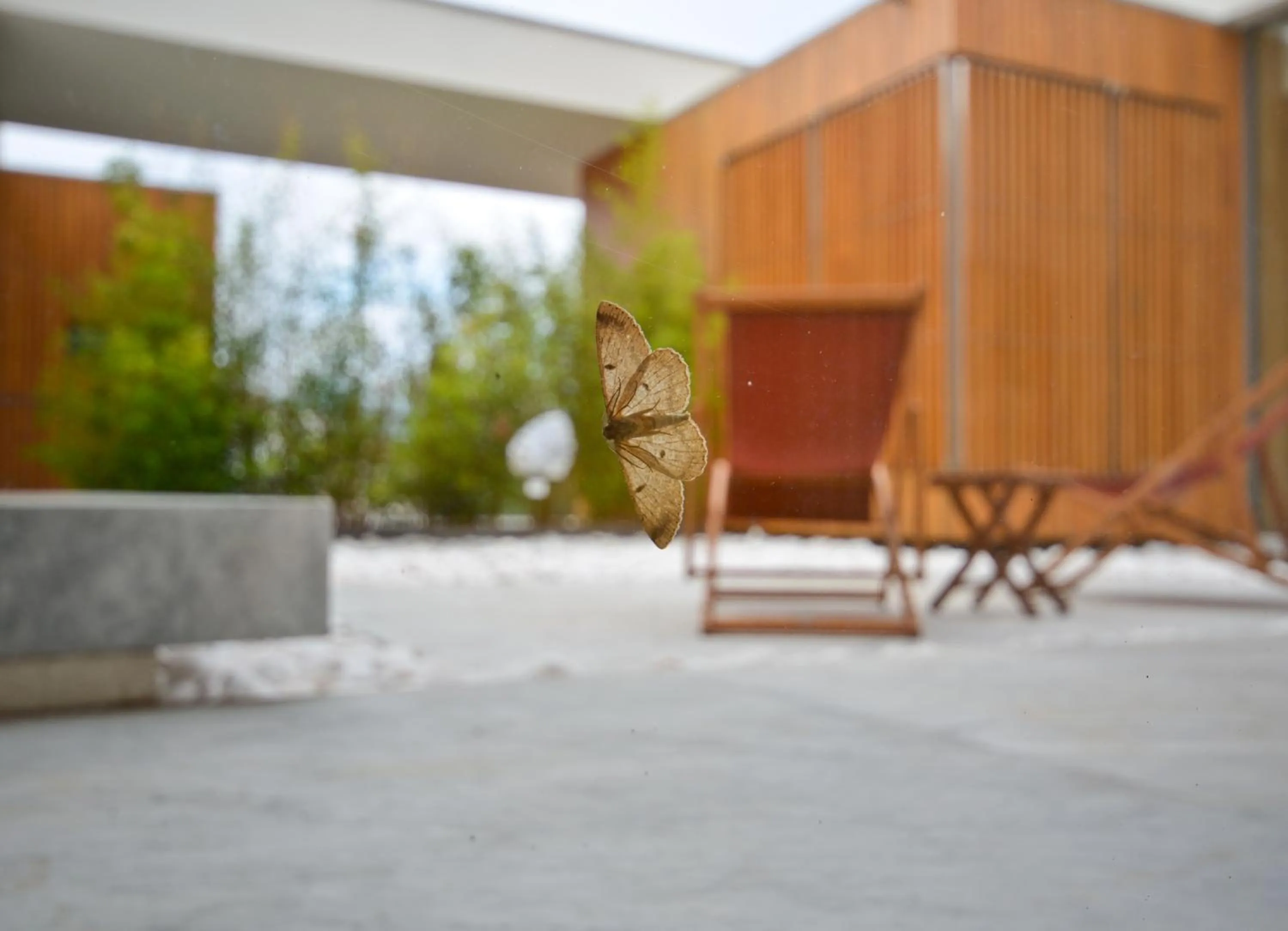 Spa and wellness centre/facilities in Hotel Minho