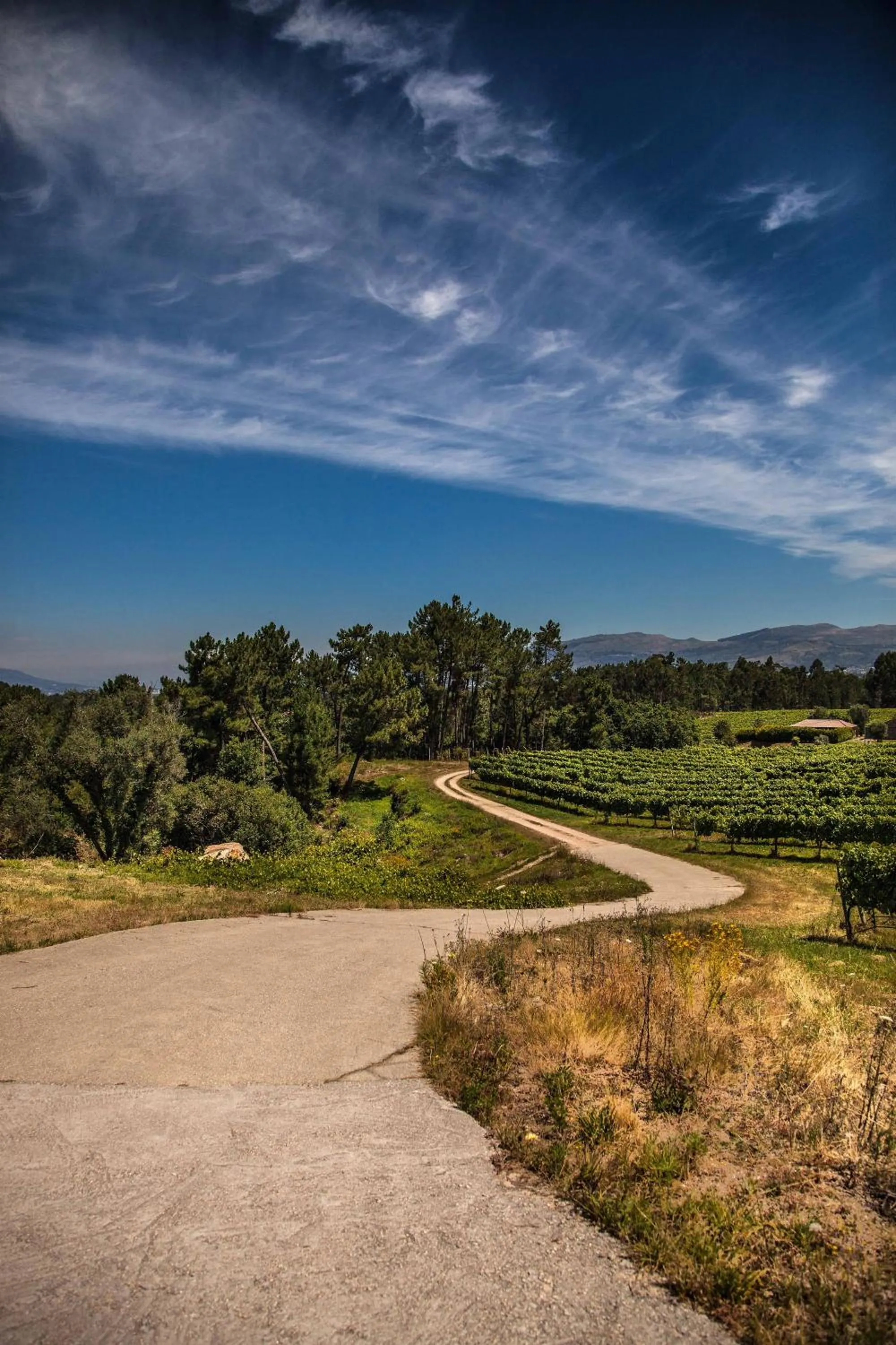 Natural landscape in Hotel Minho