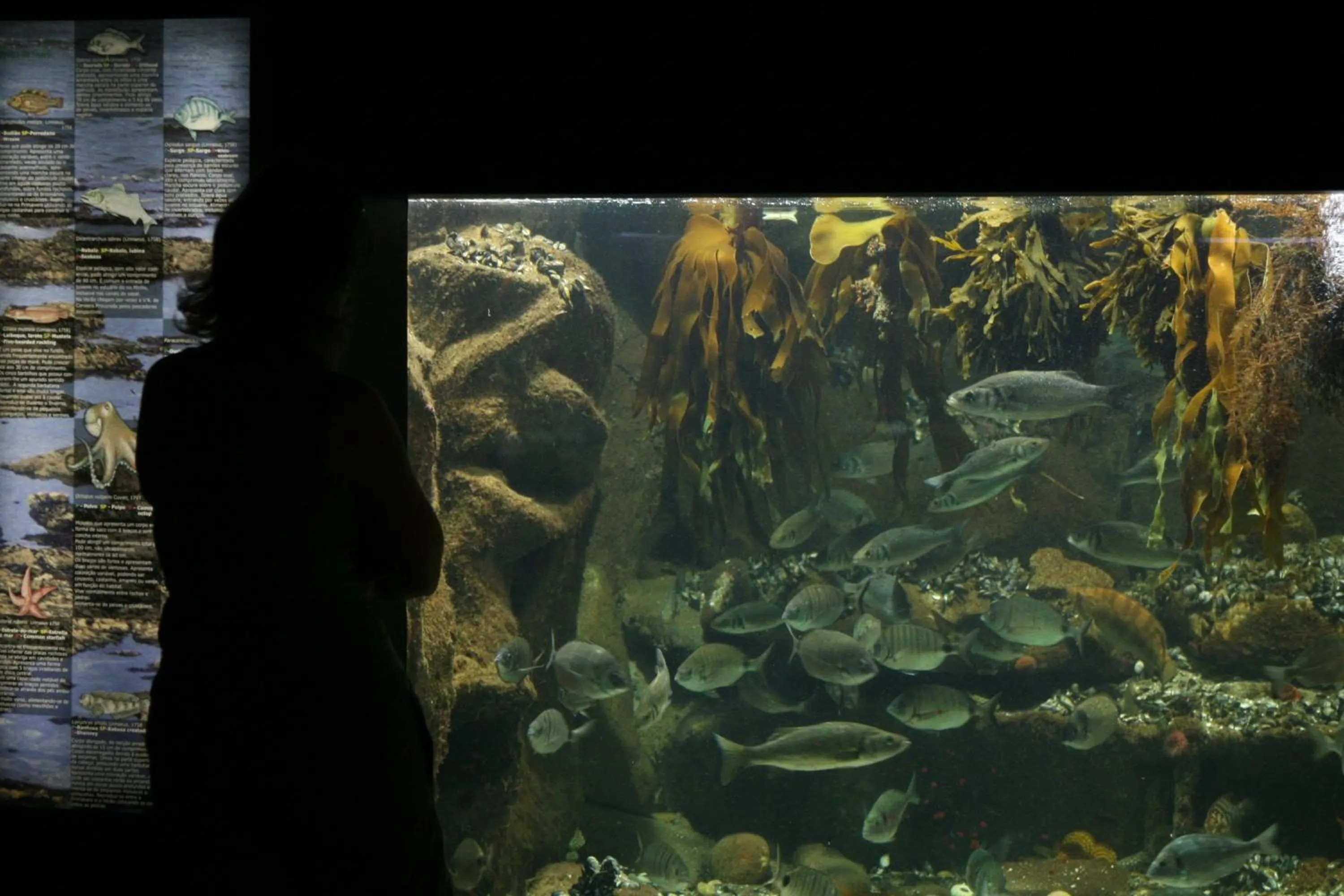 Nearby landmark in Hotel Minho