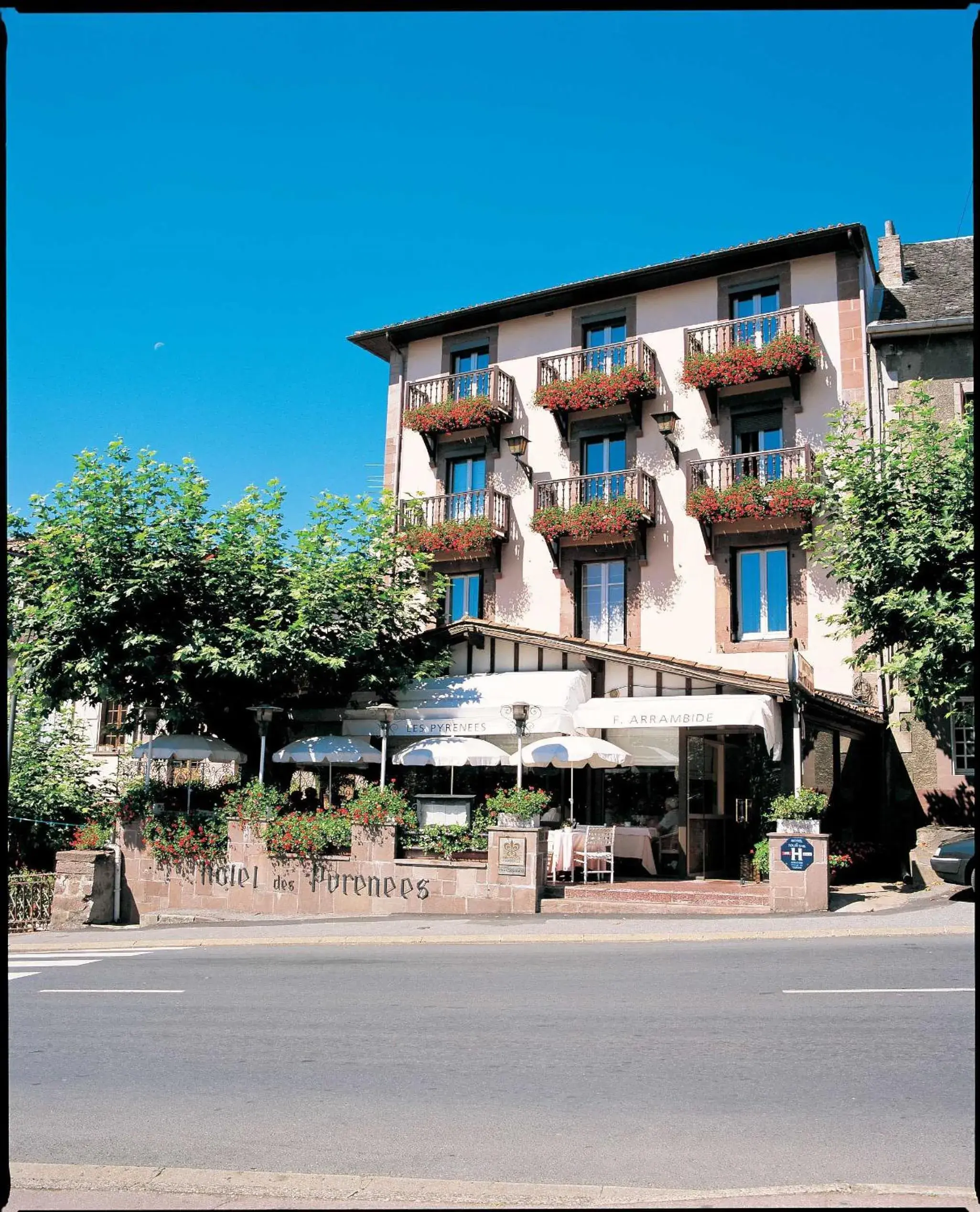 Hôtel des Pyrénées Hôtel des Pyrénées