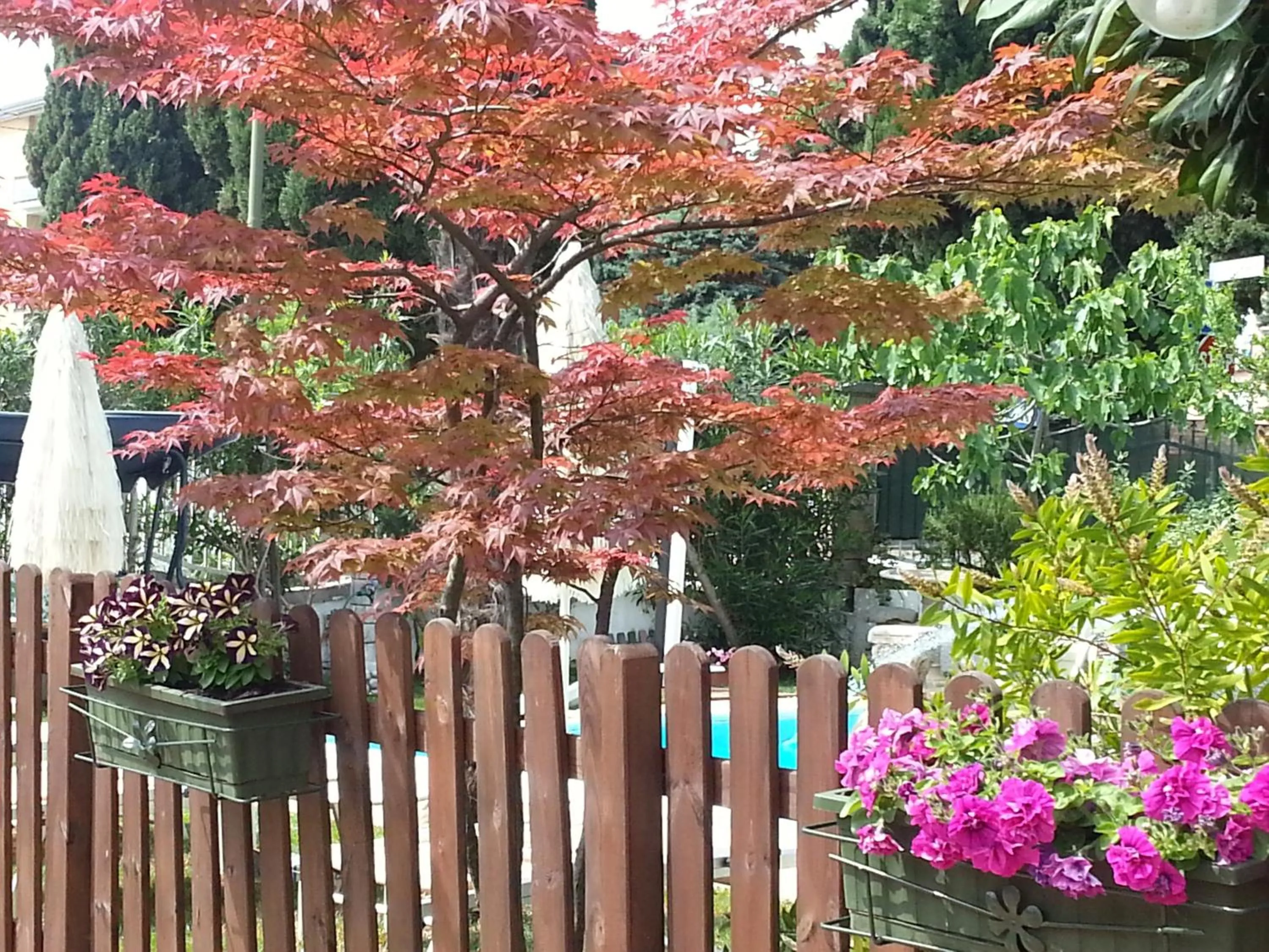 Garden in B&B Desenzano