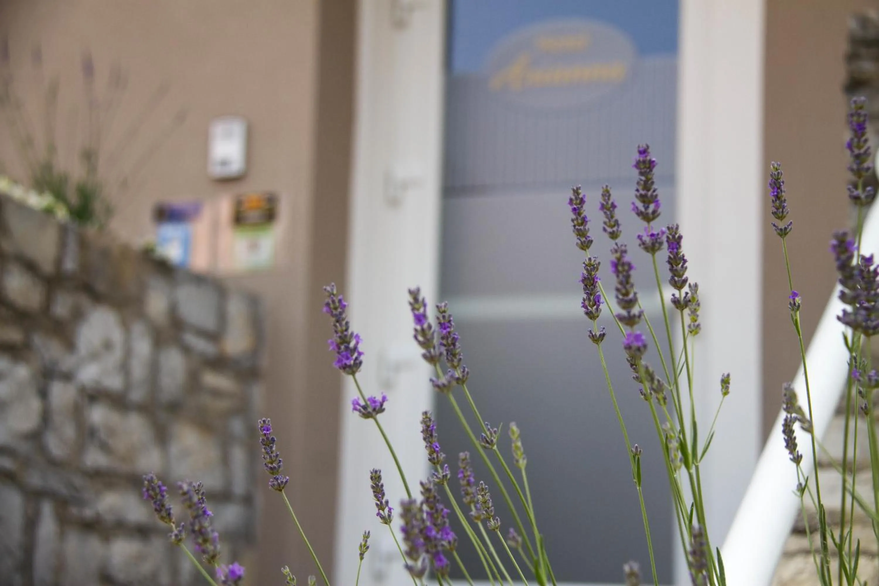 Day in Hotel Arianna