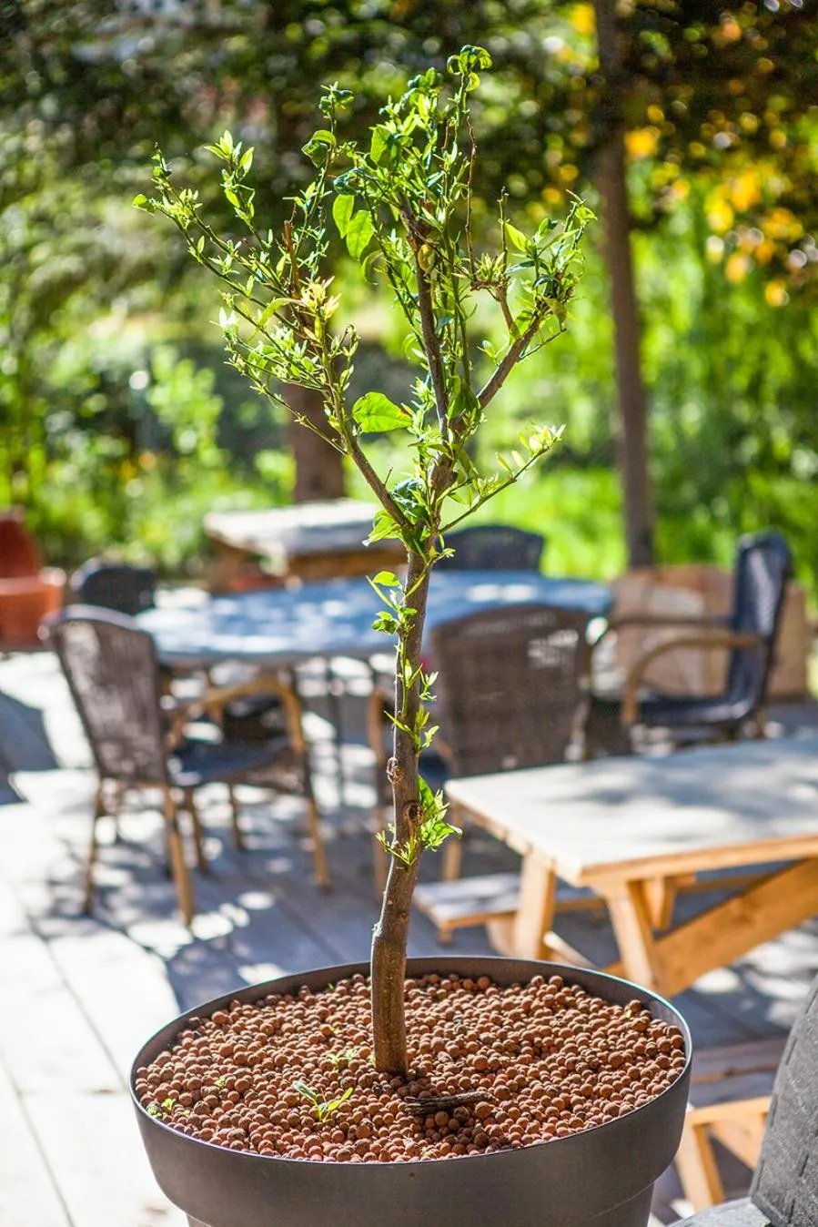 Balcony/Terrace in Auberge De La Vallee