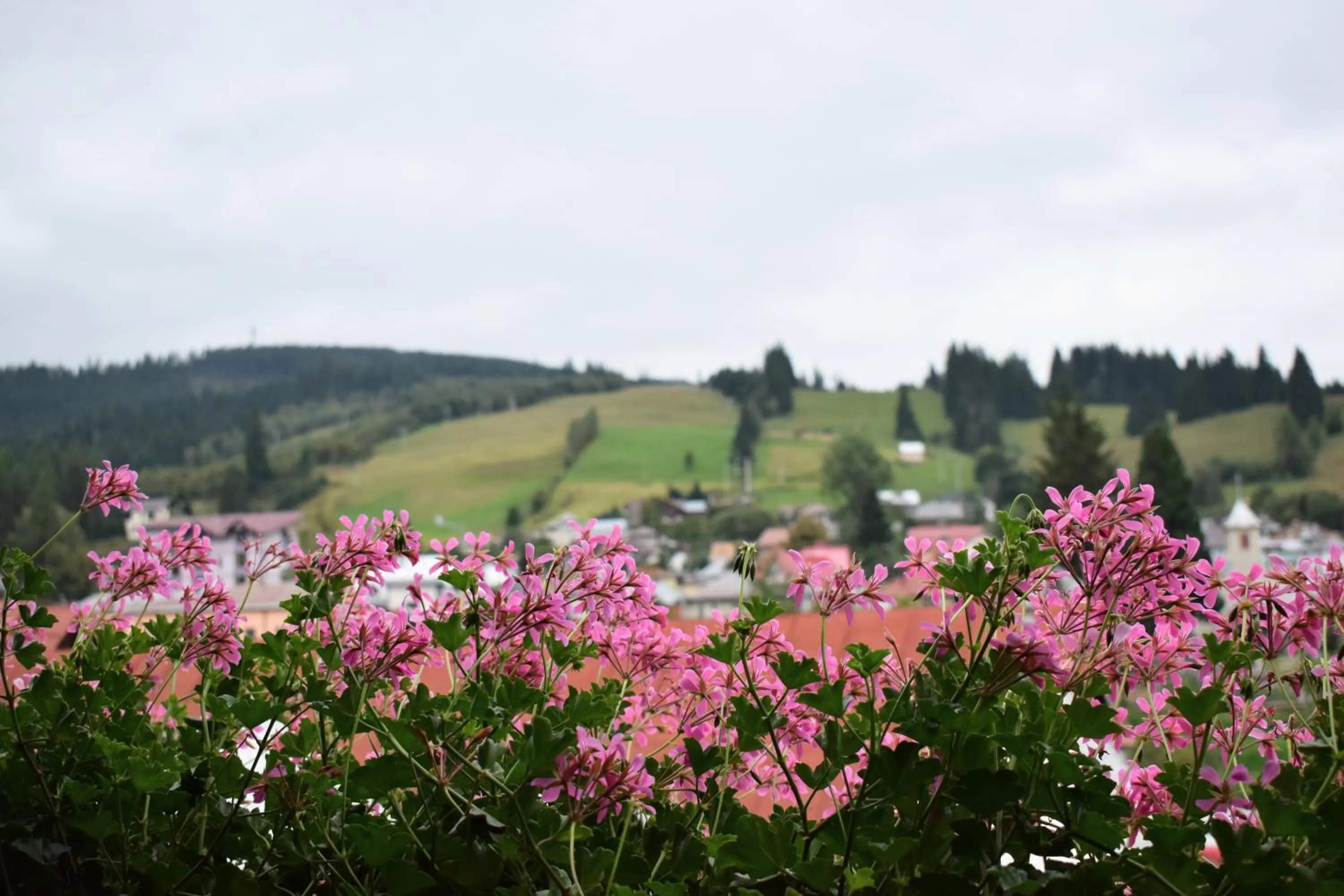 Mountain view in Vila Seva