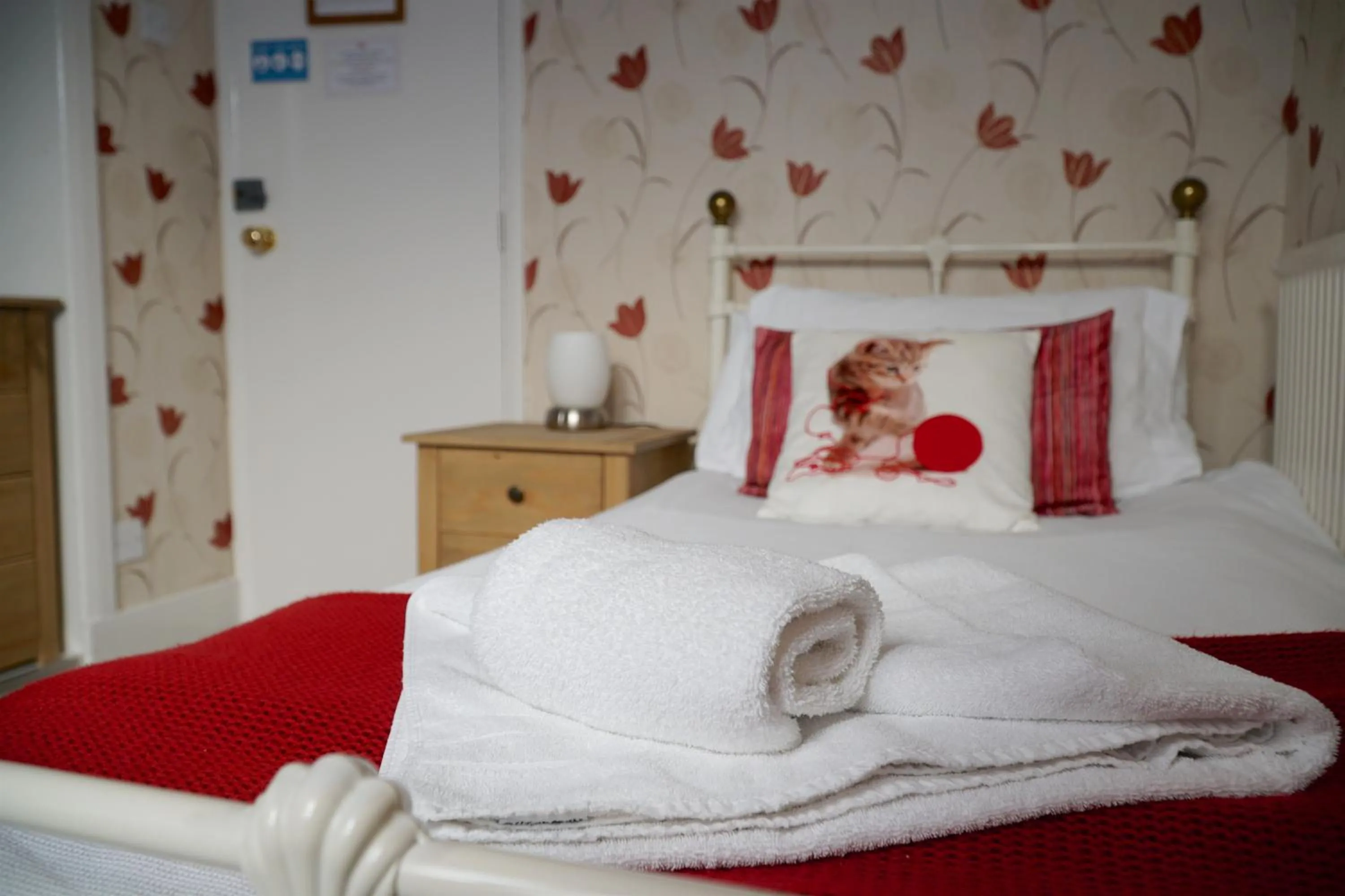 Single Room in Castle House Guest House