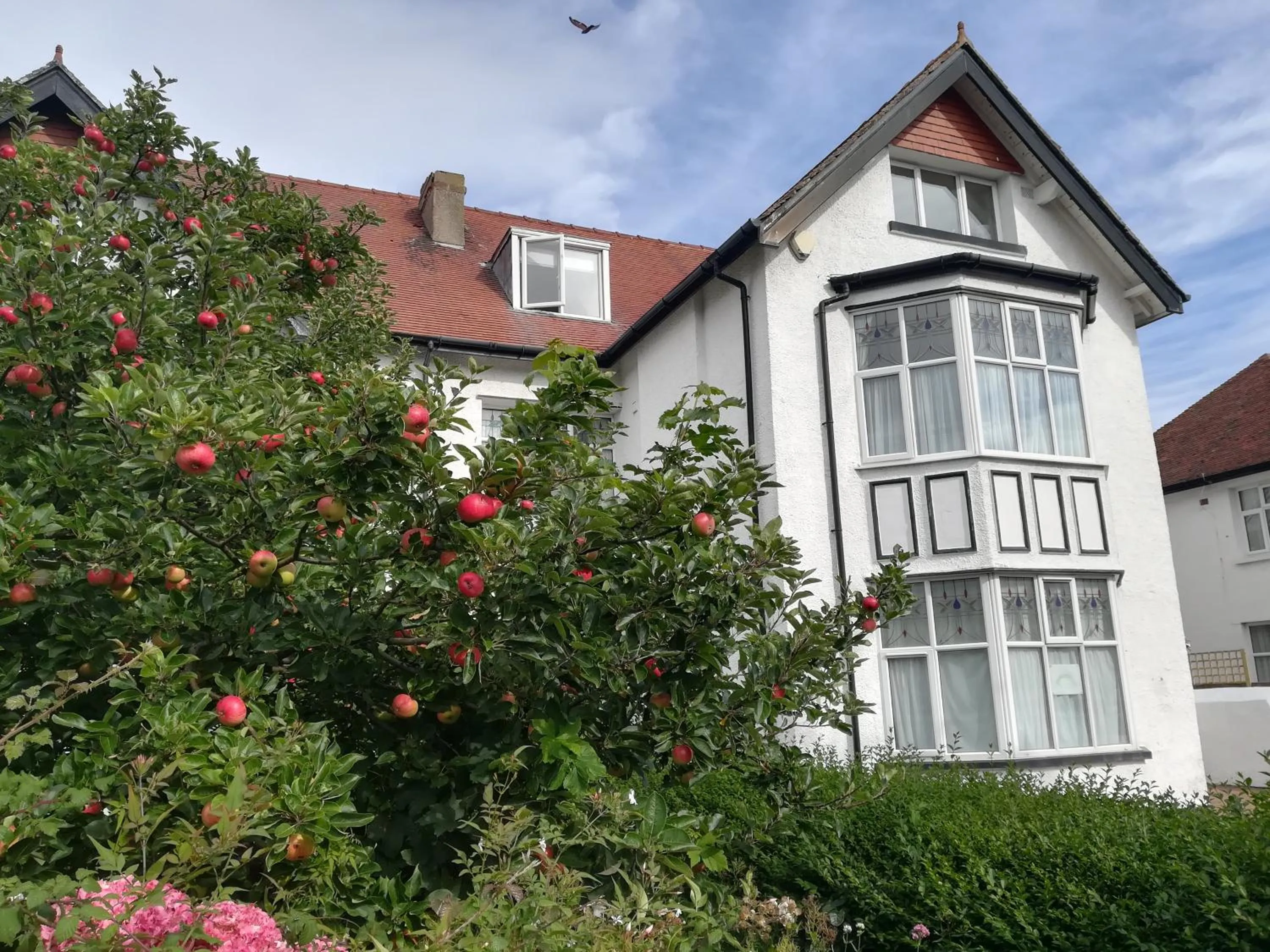 Property building in Seren Villa