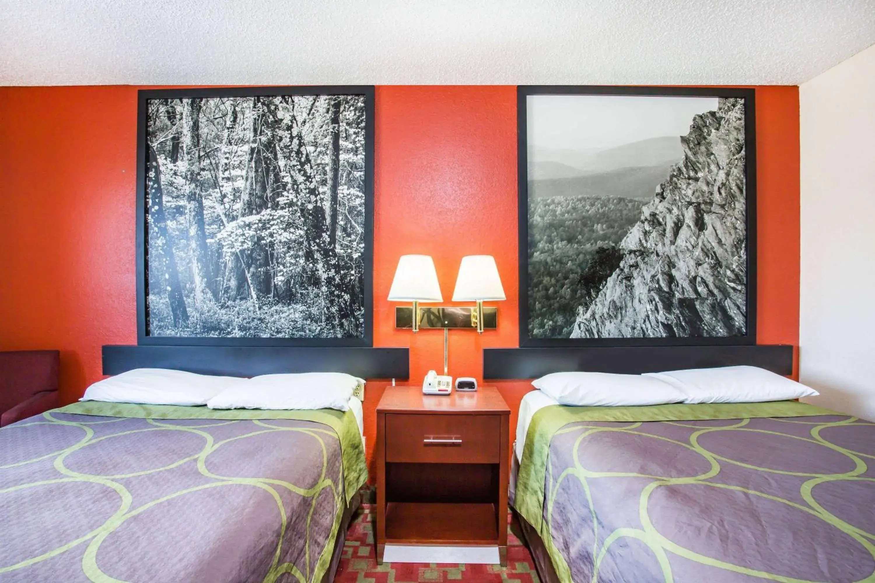 Photo of the whole room, Bed in Super 8 by Wyndham Harrisonburg Photo of the whole room, Bed in Super 8 by Wyndham Harrisonburg