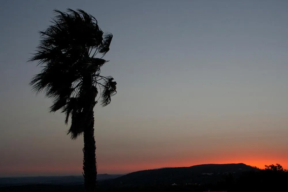 View (from property/room) in Alte Hotel
