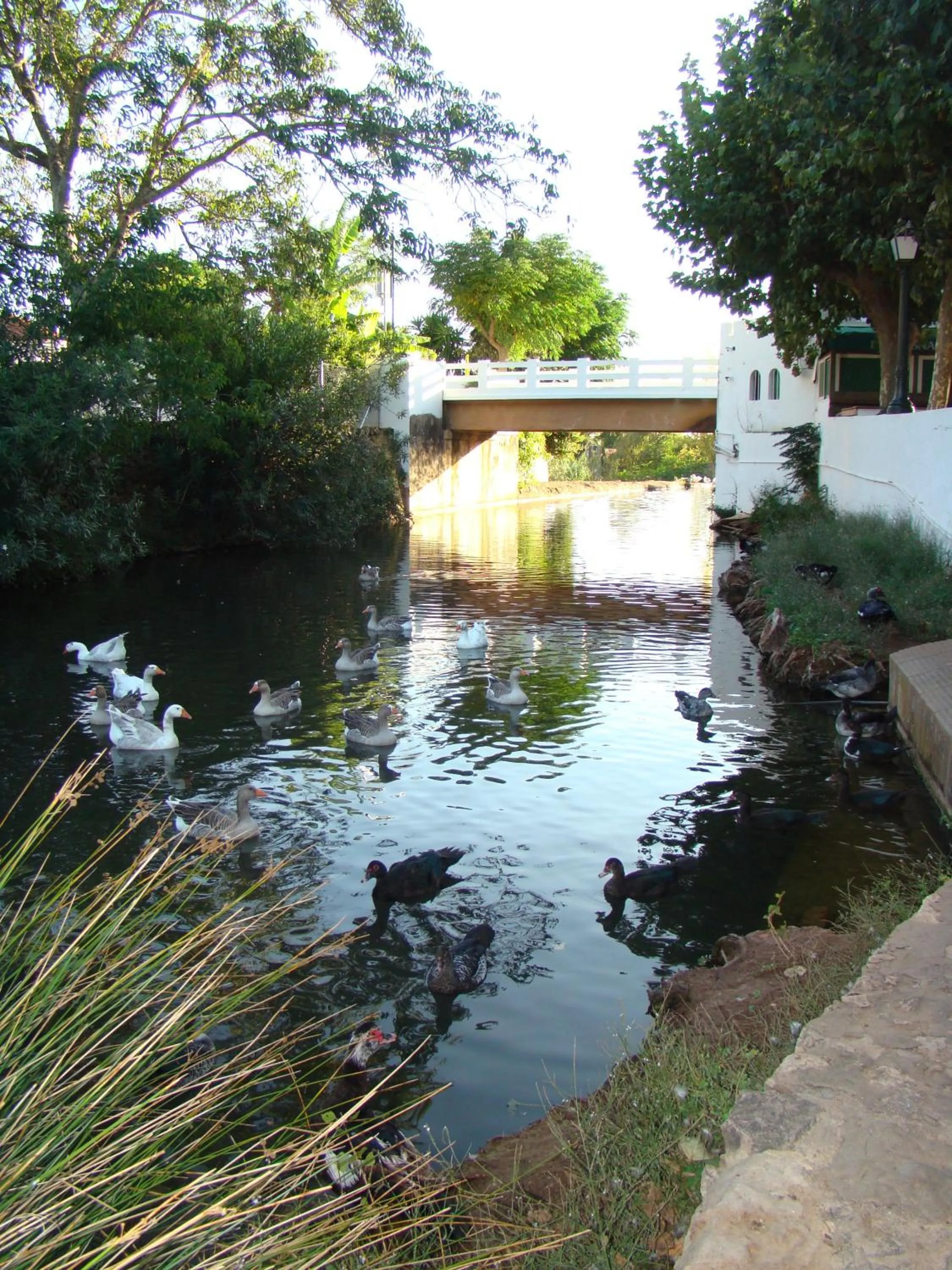 Hiking in Alte Hotel