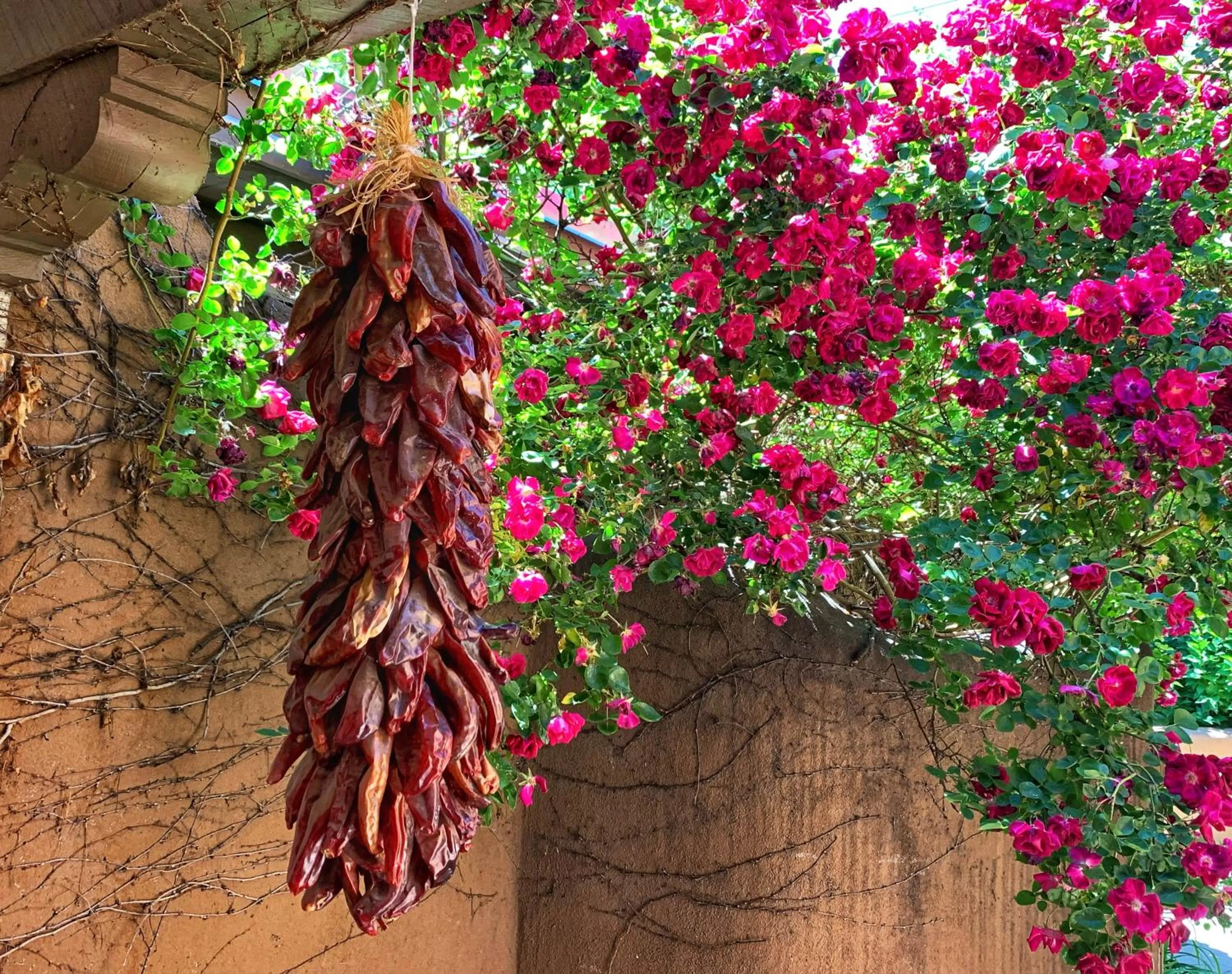 Restaurant/places to eat in Inn on the Alameda