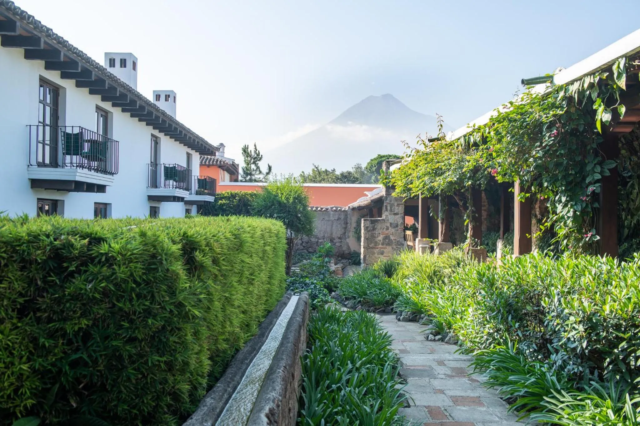 Garden in Hotel Museo Spa Casa Santo Domingo
