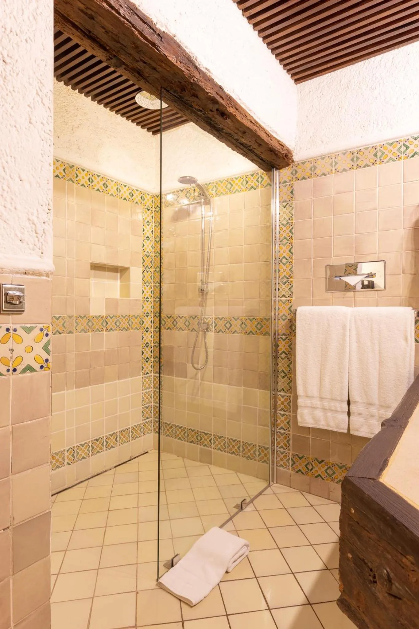 Shower in Hotel Museo Spa Casa Santo Domingo