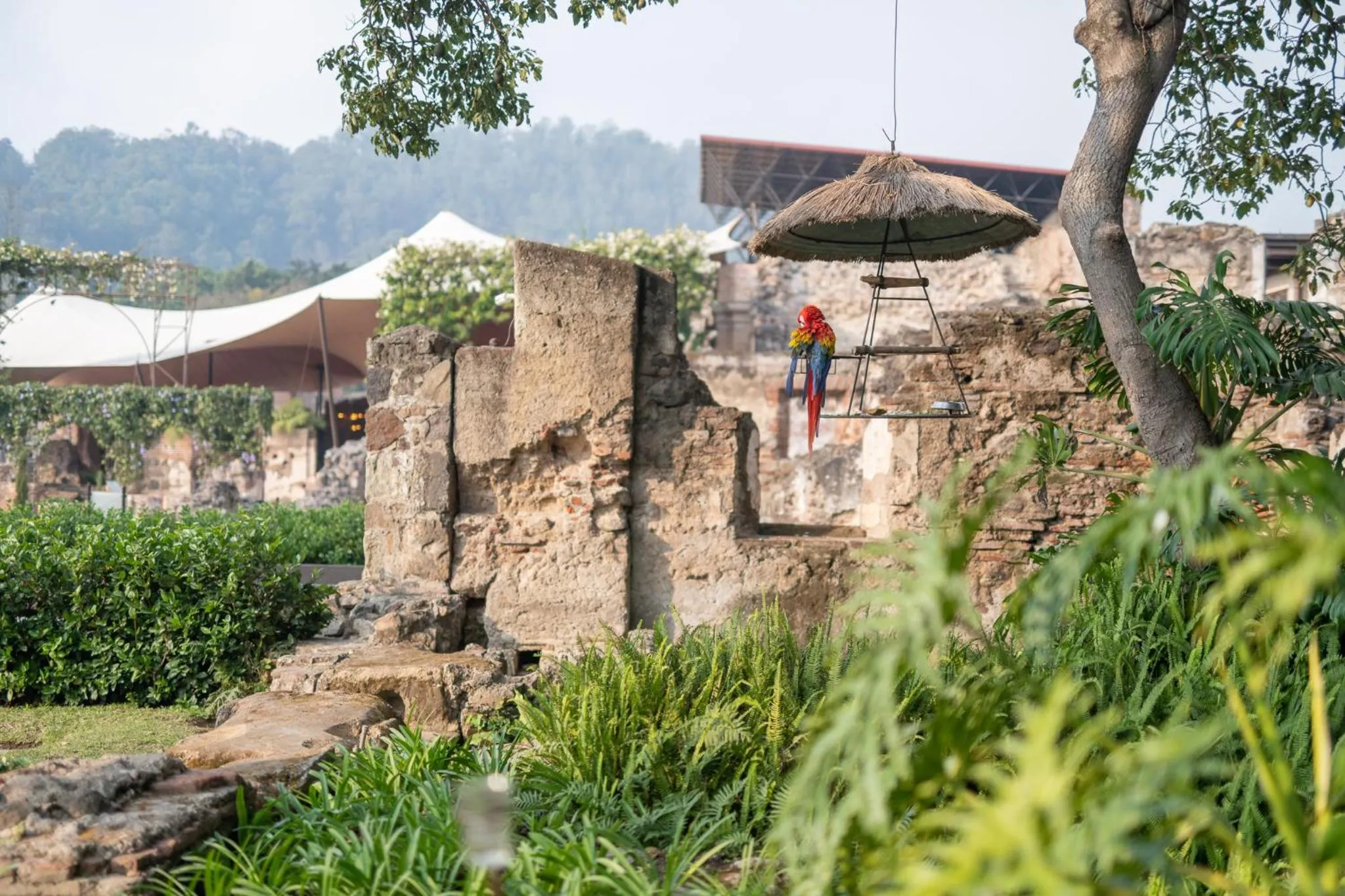 Garden in Hotel Museo Spa Casa Santo Domingo